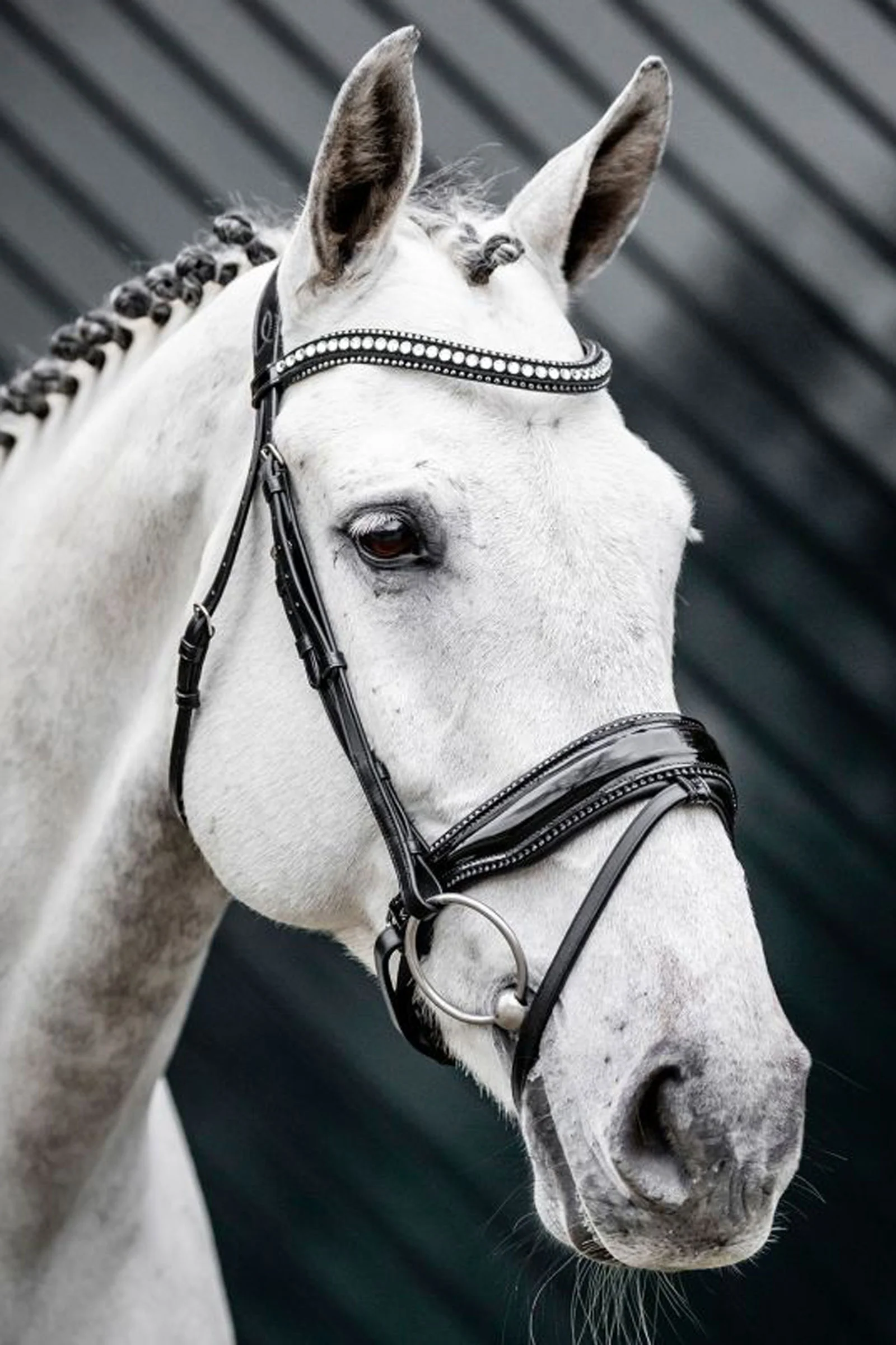 Diamante Flash Bridle Black/Silver C