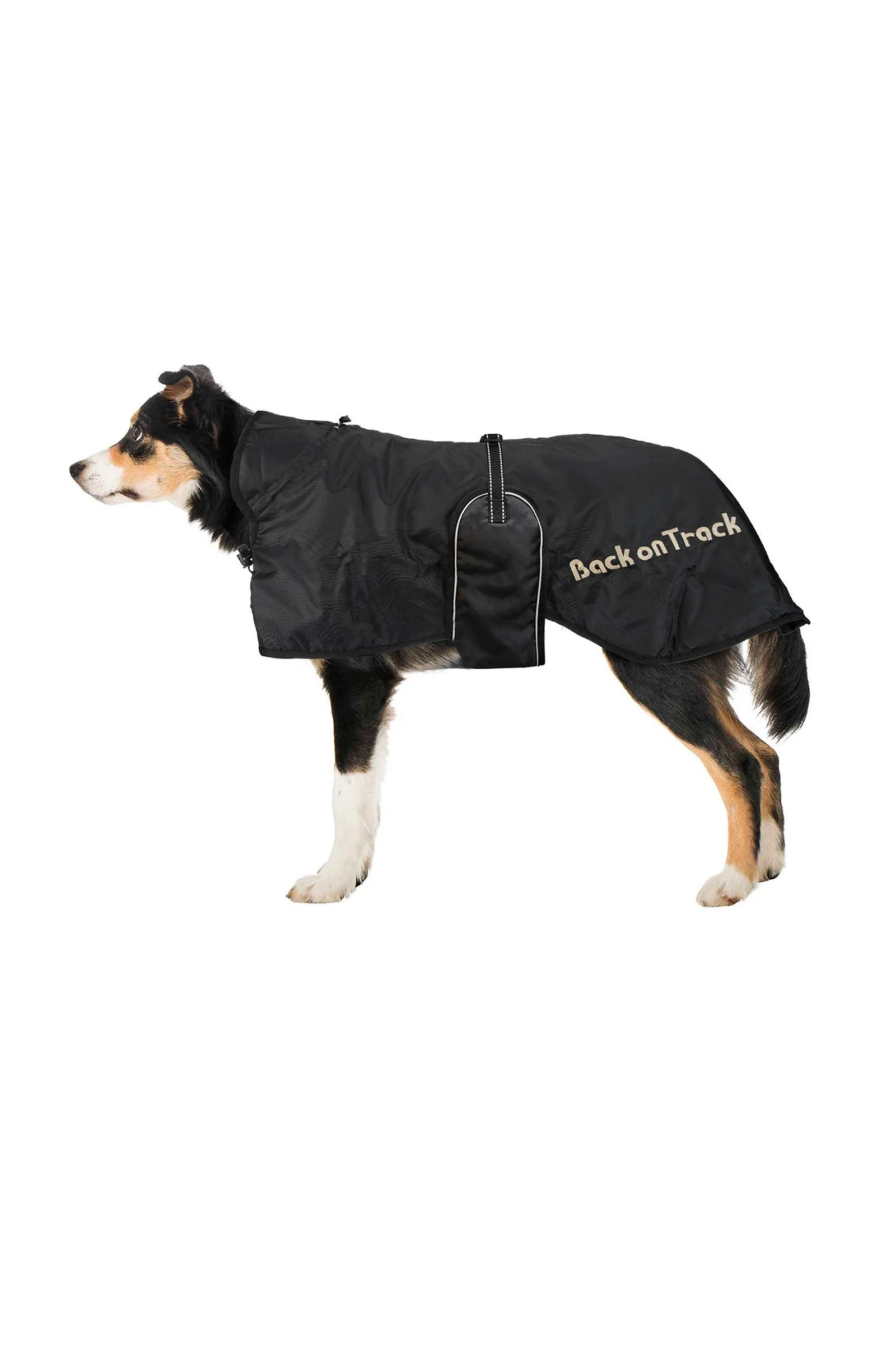 Dog Rug 43-59 Black 52