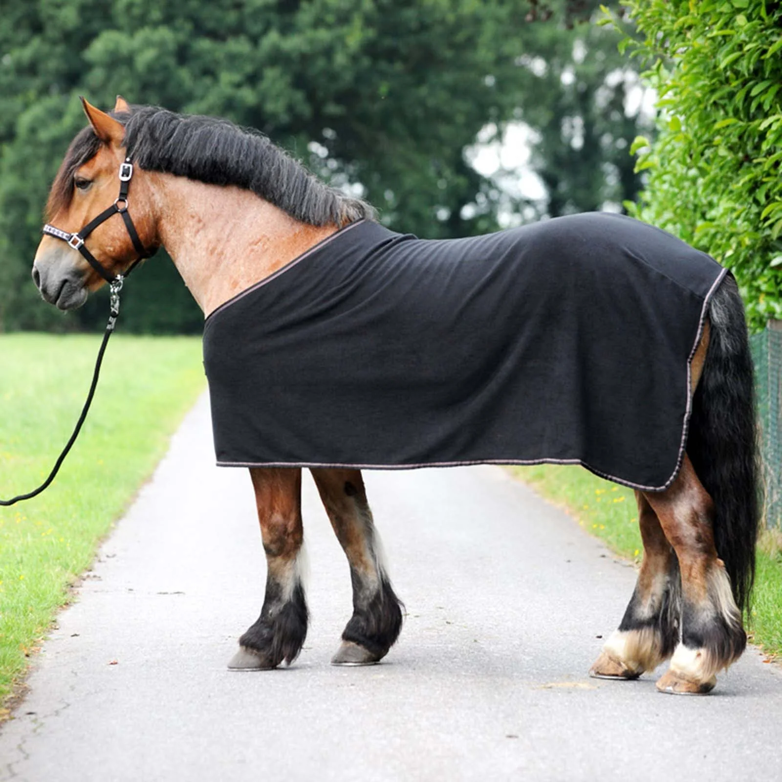 Ecoline Draft Horse Cooler Black 145