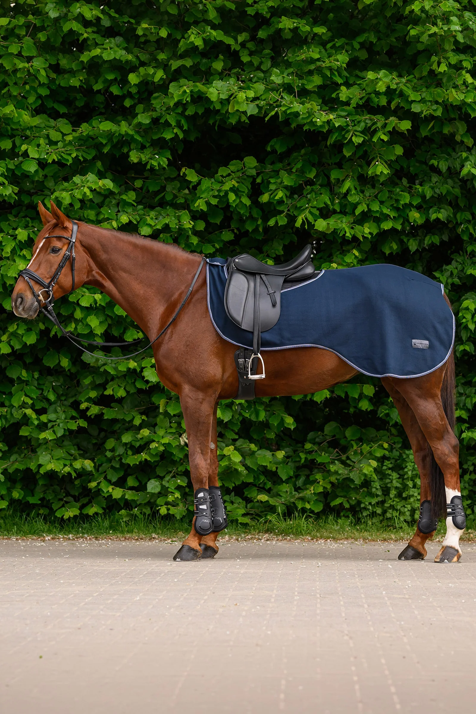 ECONOMIC Fleece Exercise Rug Night Blue P