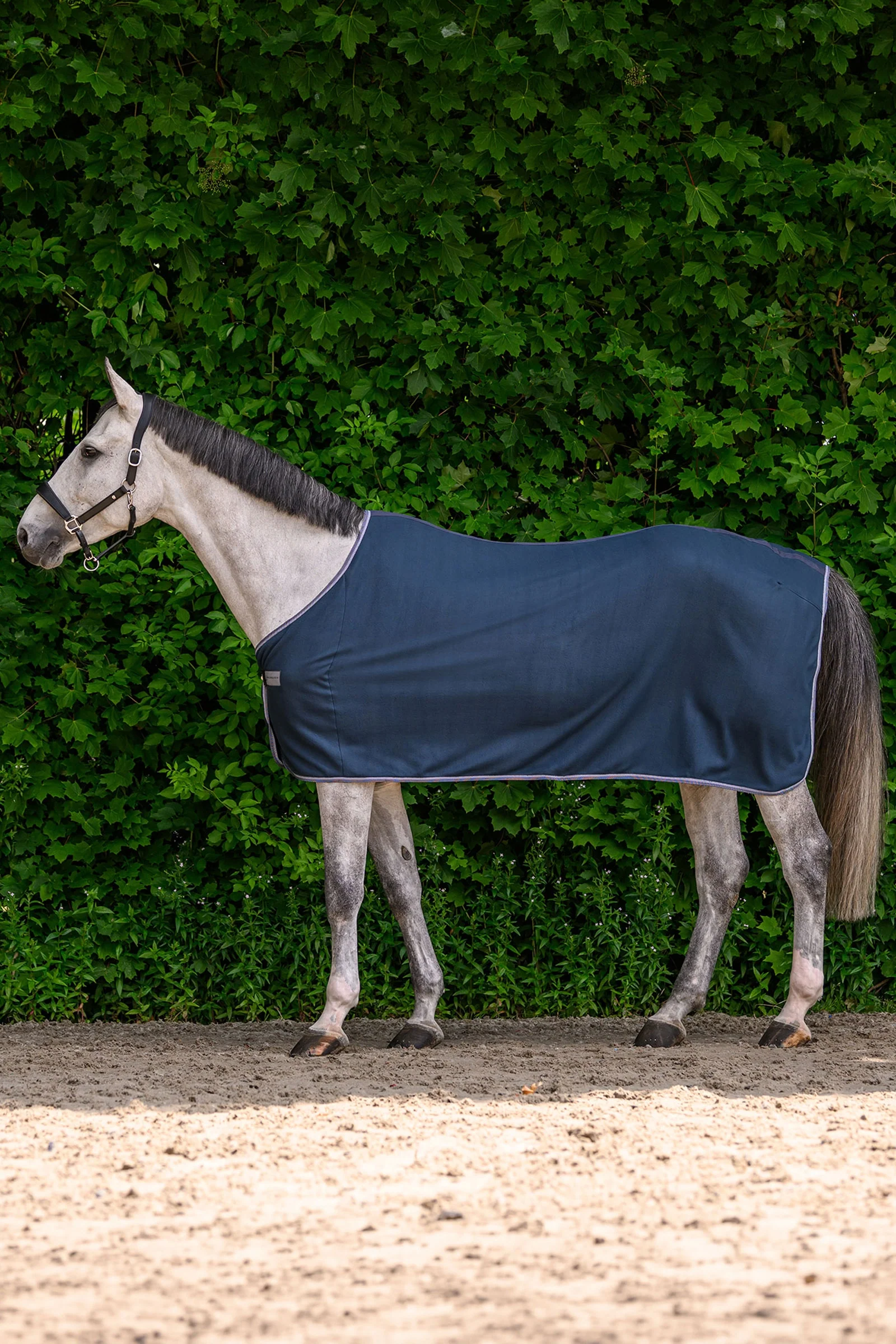 ECONOMIC Fleece Rug Night Blue 155