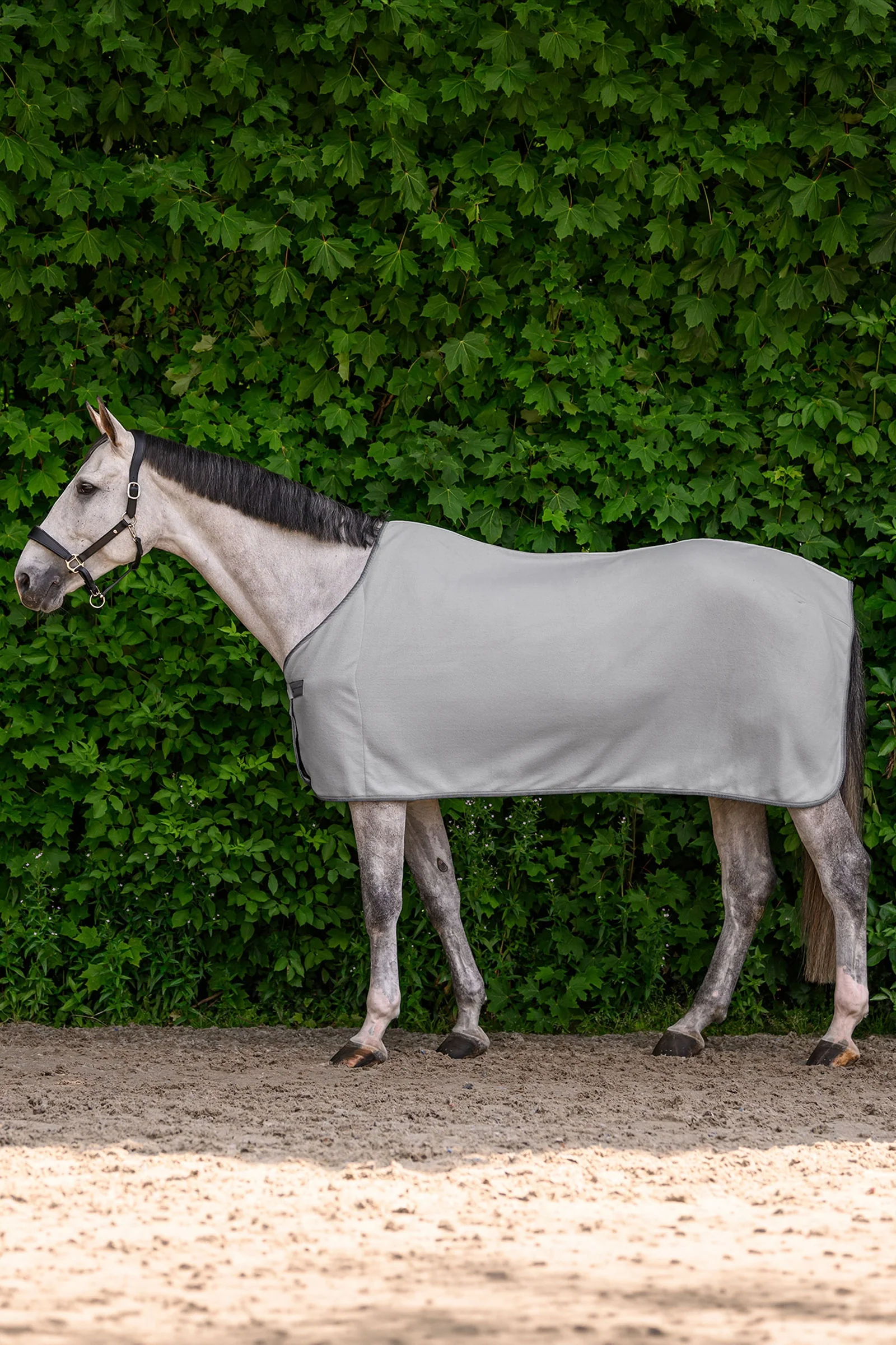ECONOMIC Fleece Rug Silver Grey 125
