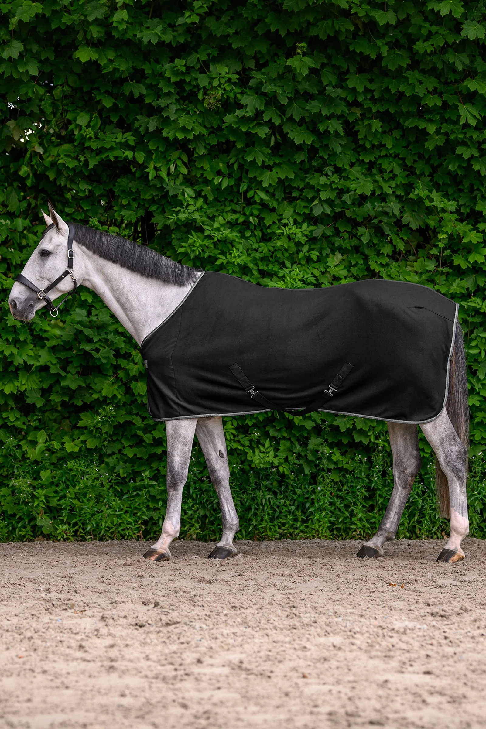 ECONOMIC Fleece Rug with Cross Surcingles Black 125