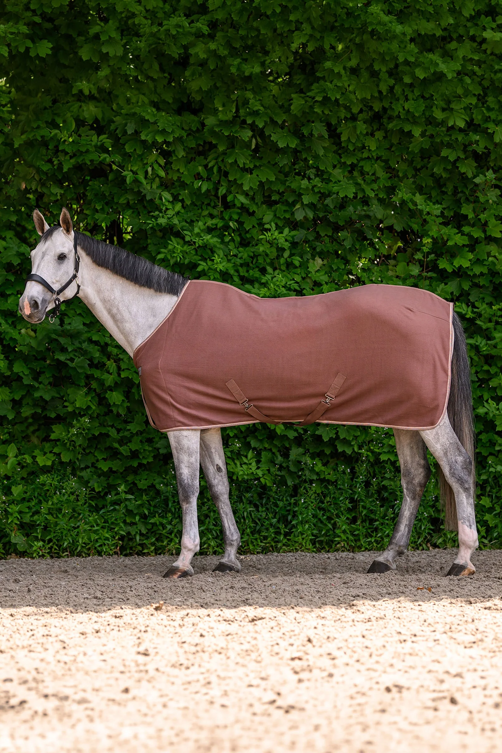 ECONOMIC Fleece Rug with Cross Surcingles Mocca 135