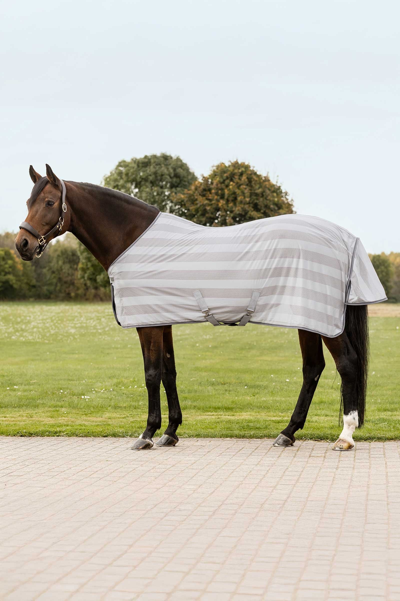 Economic Fly Rug Silver Grey 145