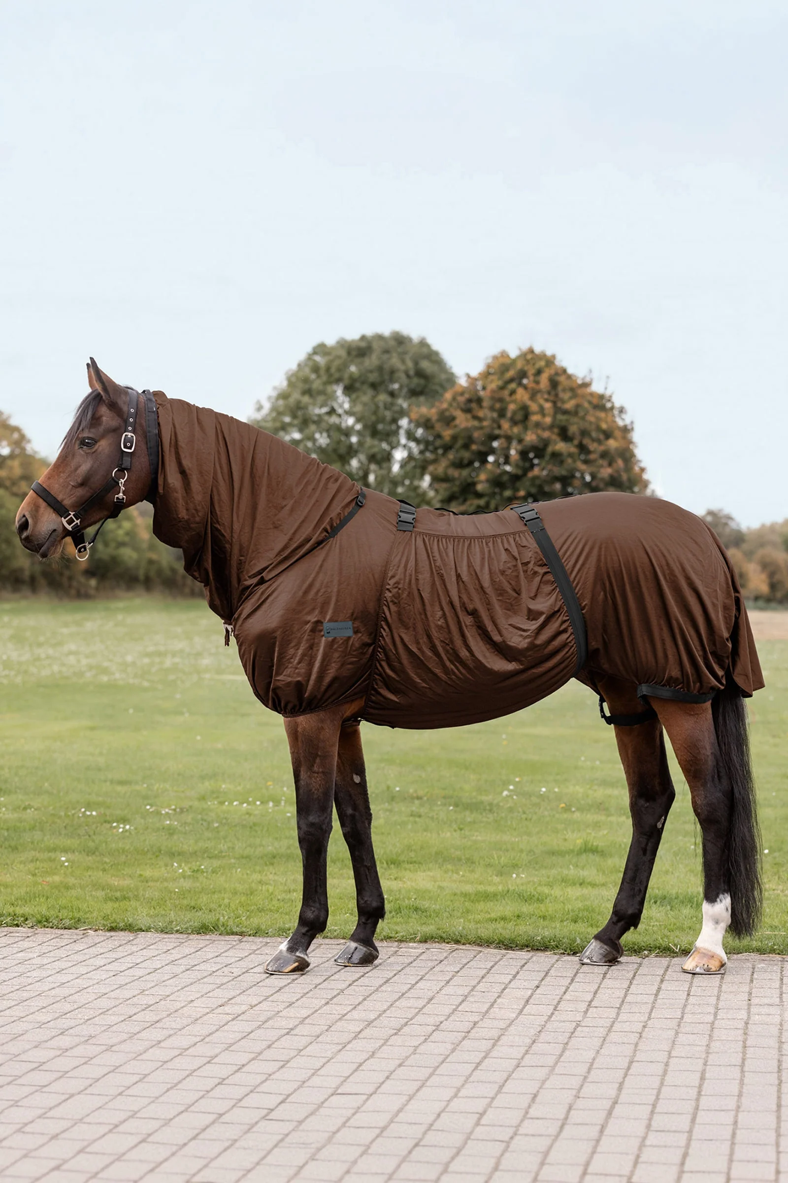 Eczema Rug Mocca 165