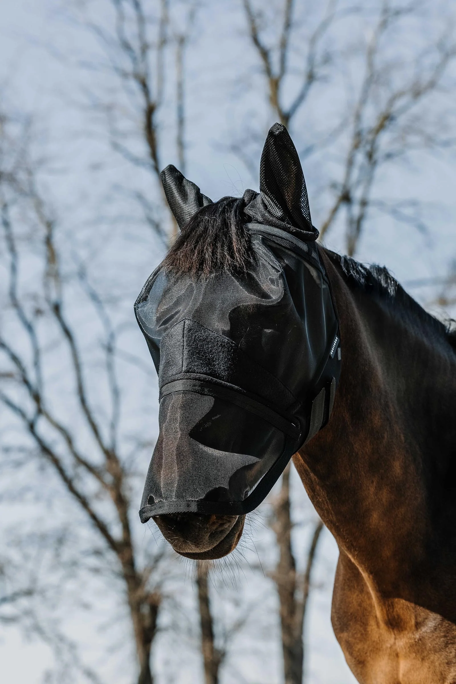 EQUITHÈME 2-in-1 Fly Mask / UV Mask Black S