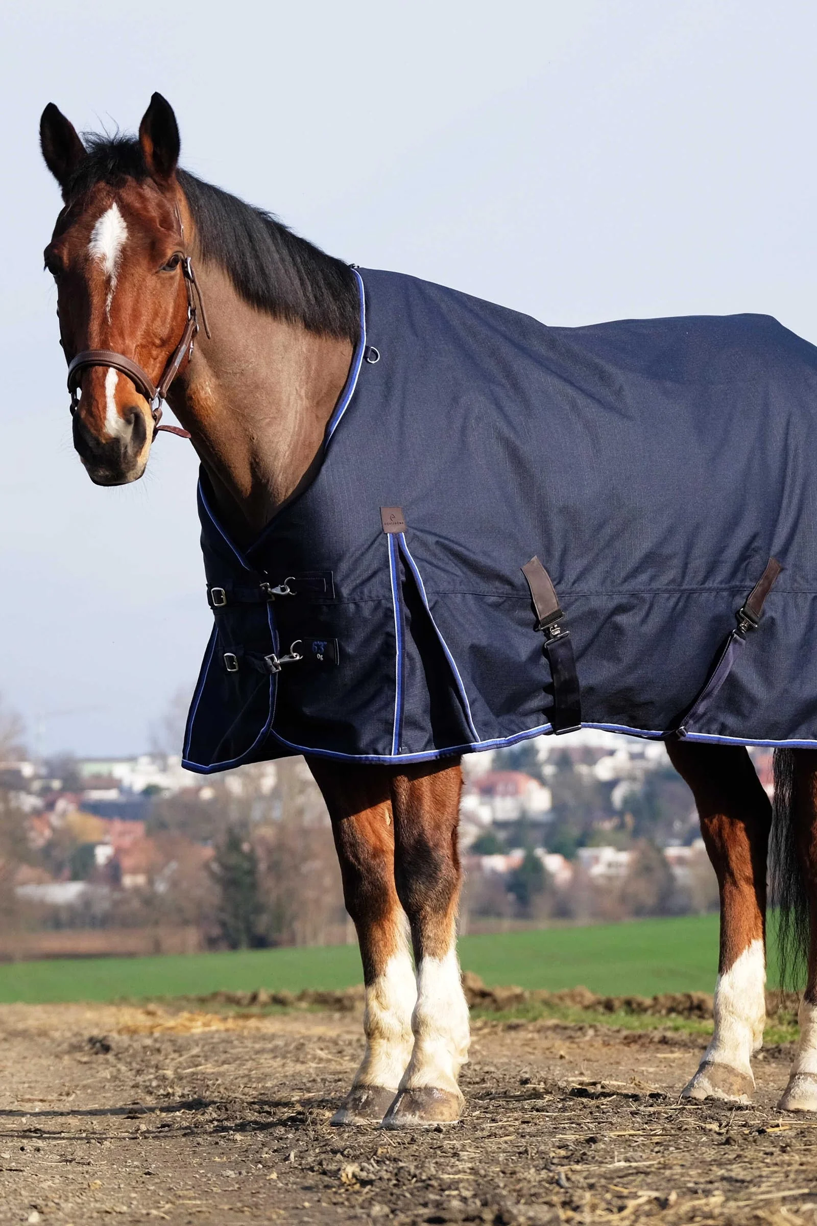 EQUITHÈME Classic 1200D Turnout Rug, 100 g Navy 165