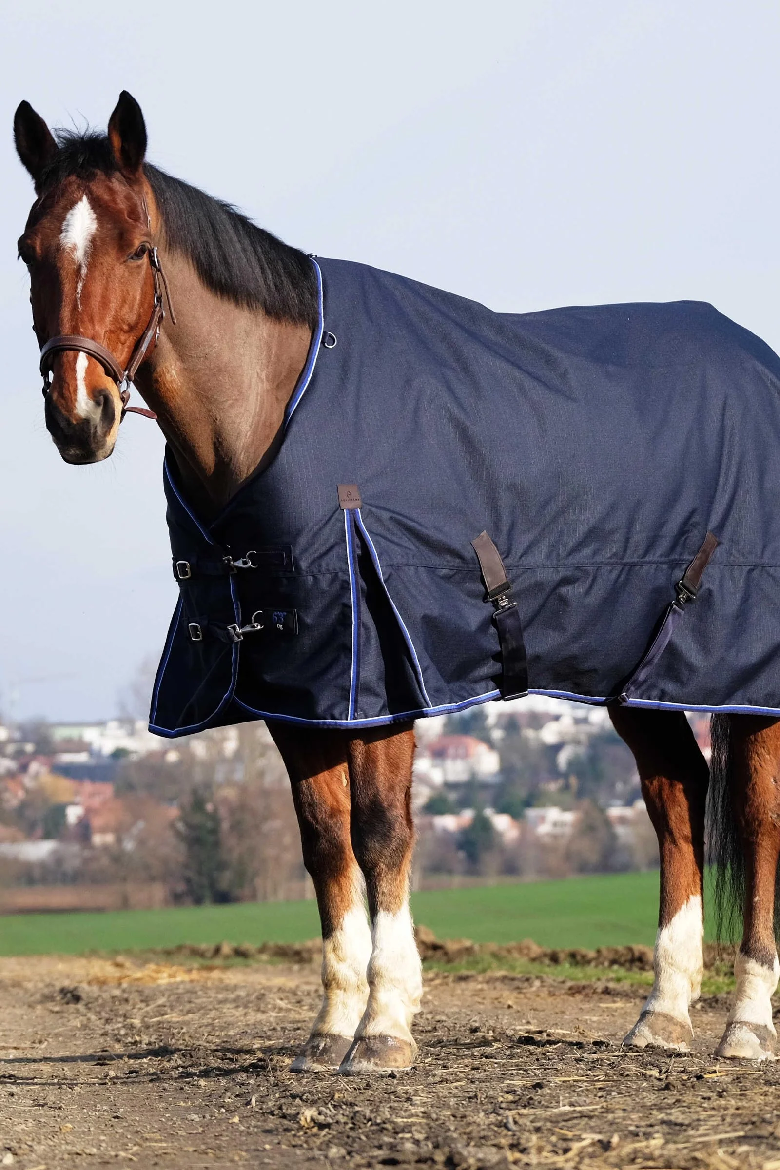 EQUITHÈME Classic 1200D Turnout Rug, 200 g Navy 150