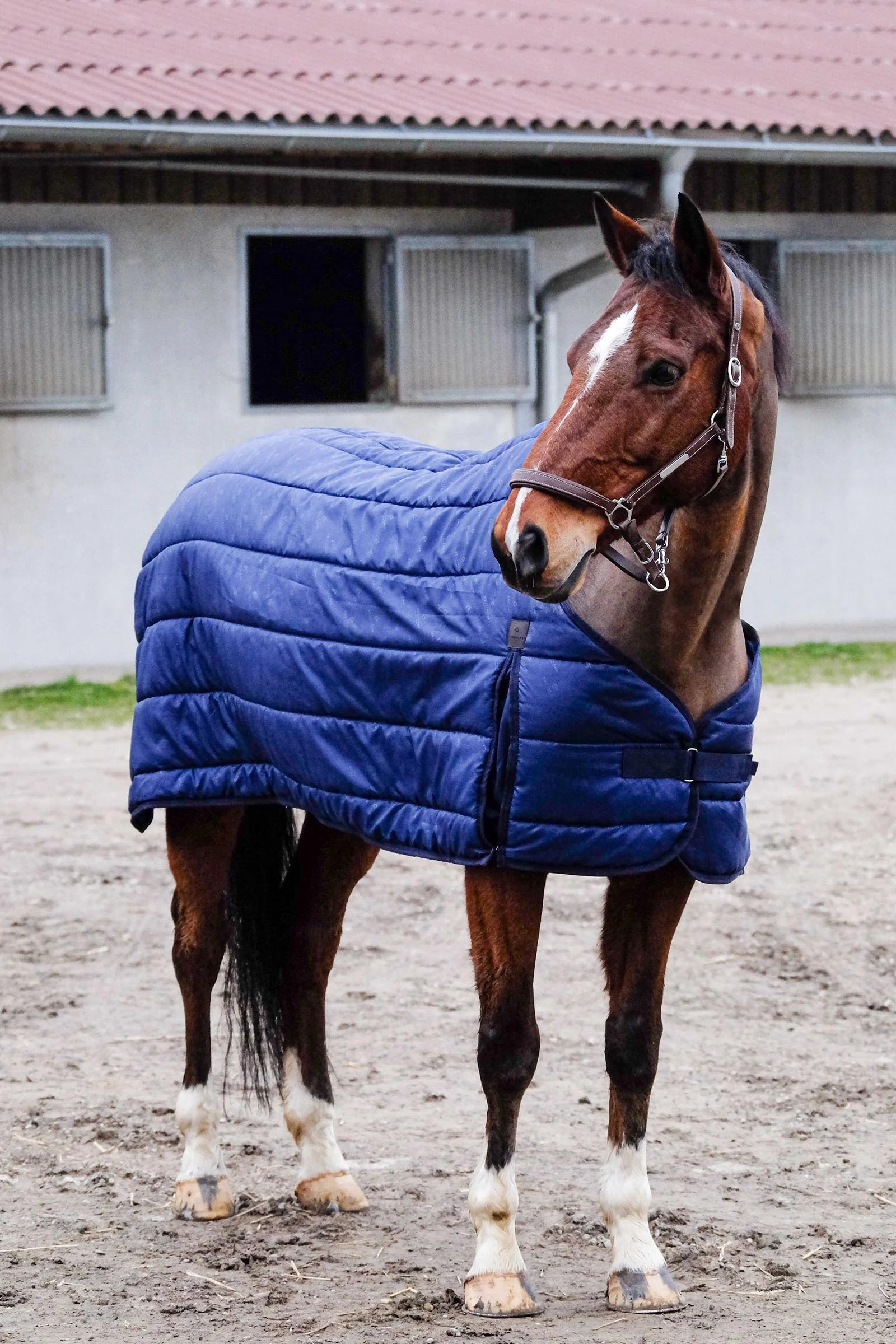 EQUITHÈME Classic Under Rug, 50 g Navy 120