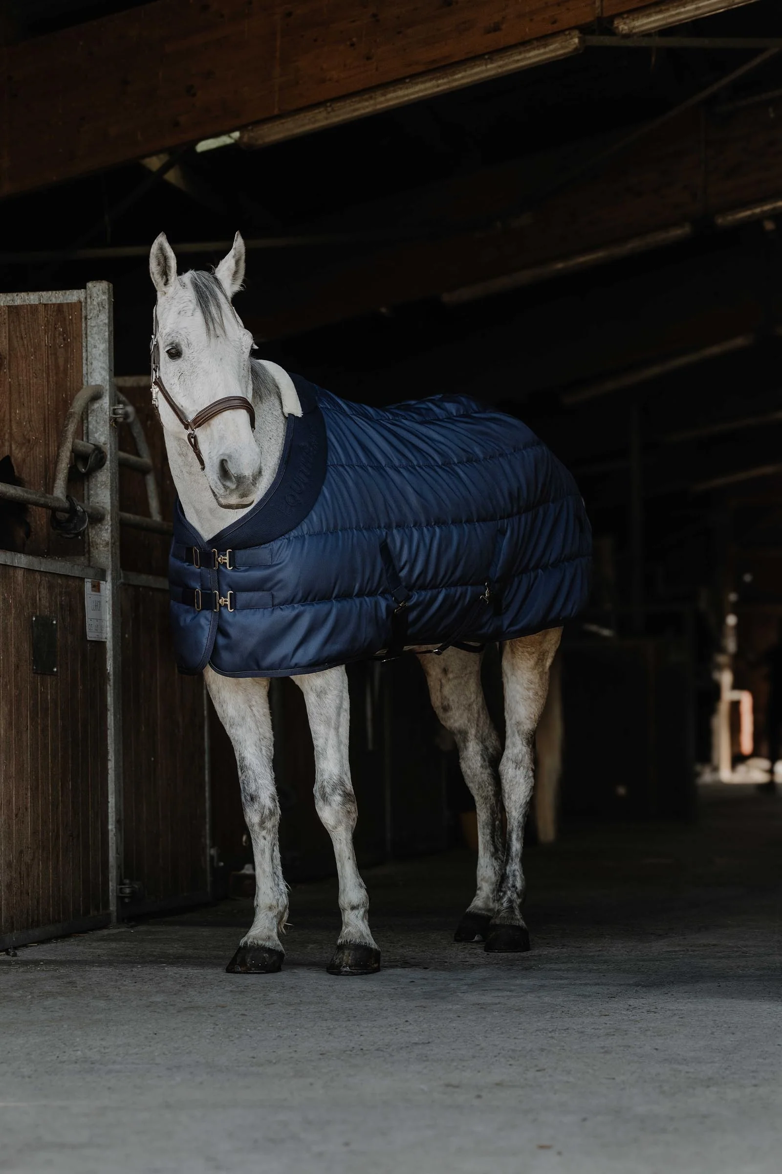 EQUITHÈME Confortech Stable Rug, 200 g Navy 130-x-135