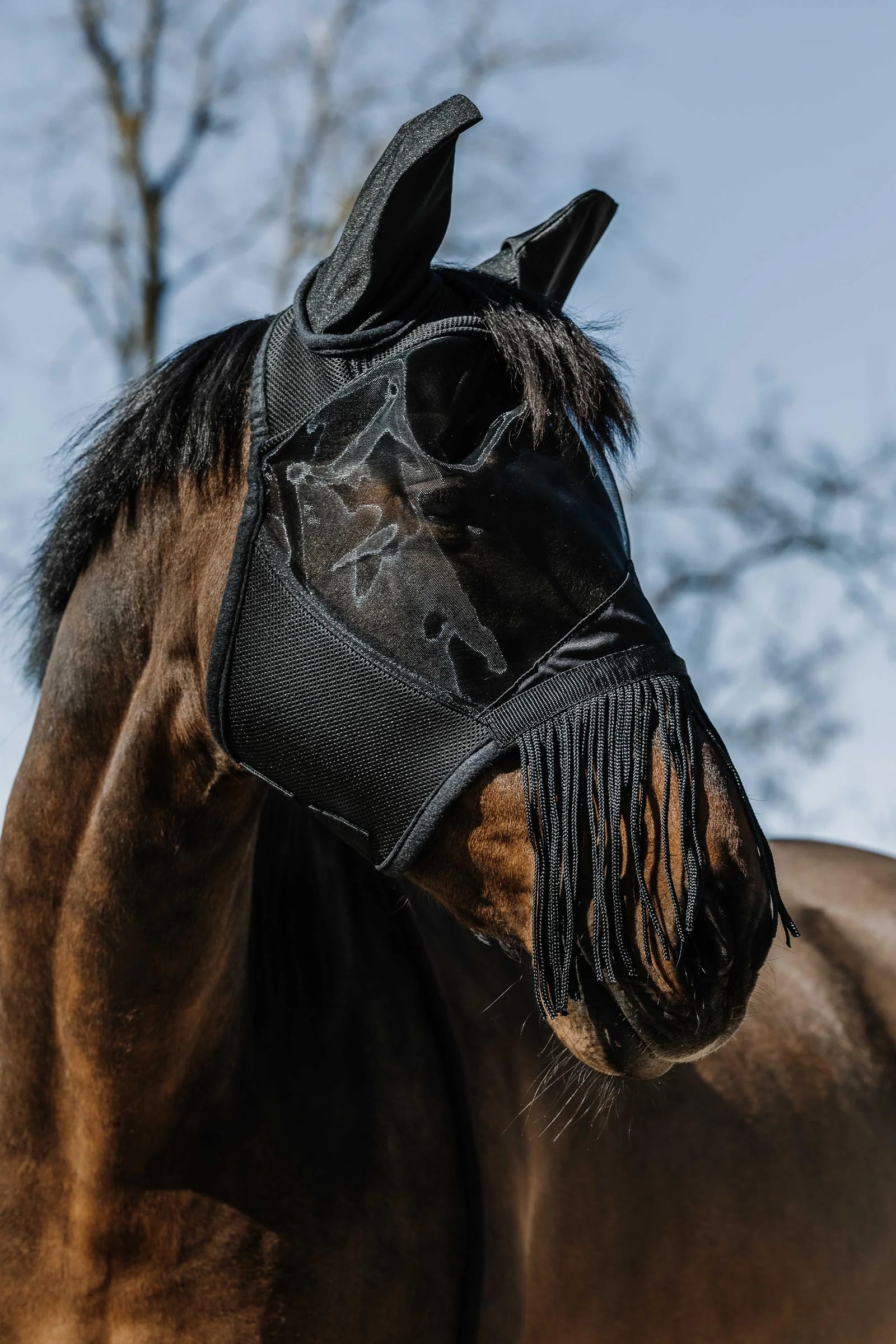 EQUITHÈME Franges Fly Mask/ UV Mask Black S