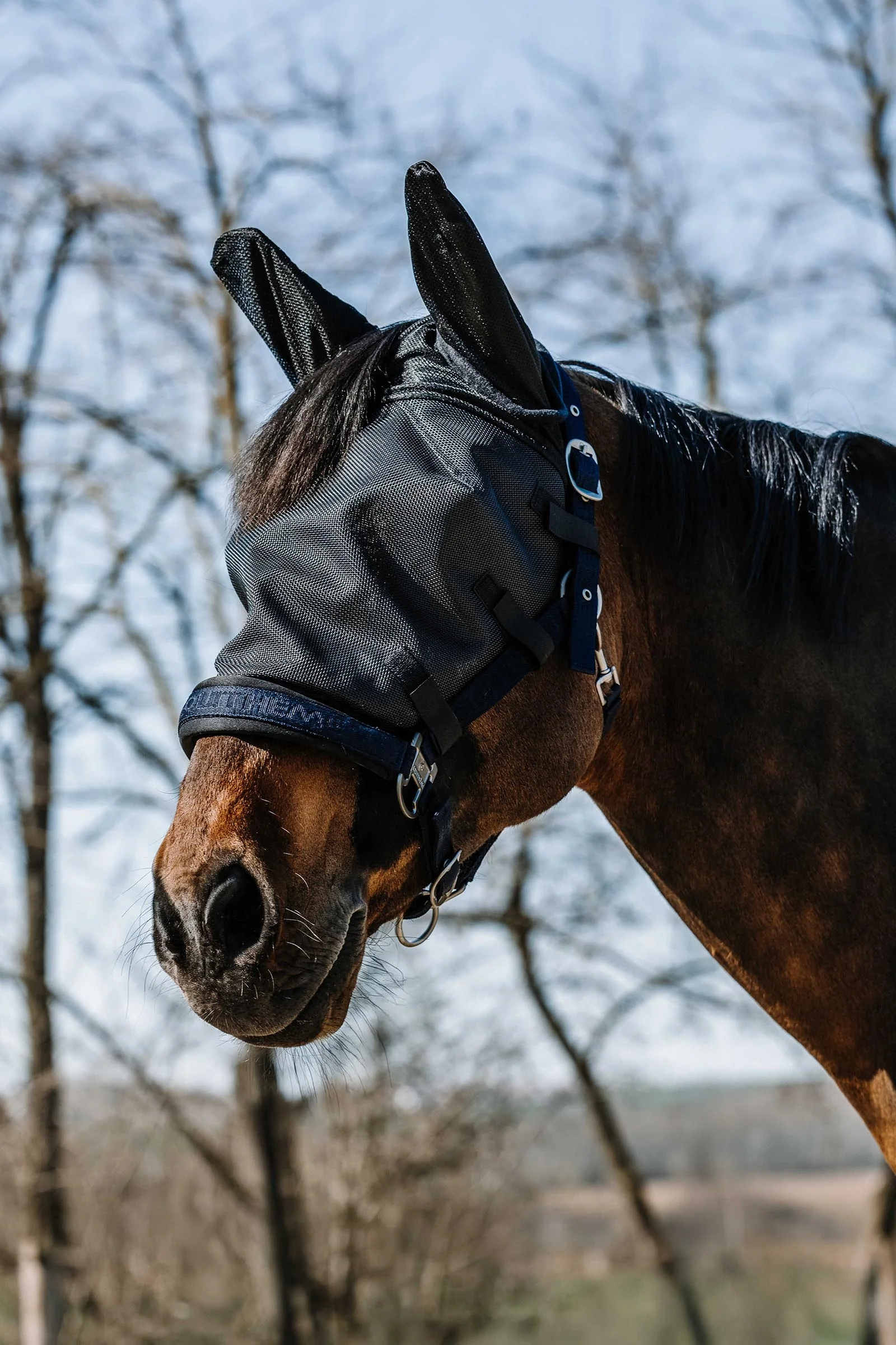 EQUITHÈME Halter Fly Mask/ UV Mask Black S
