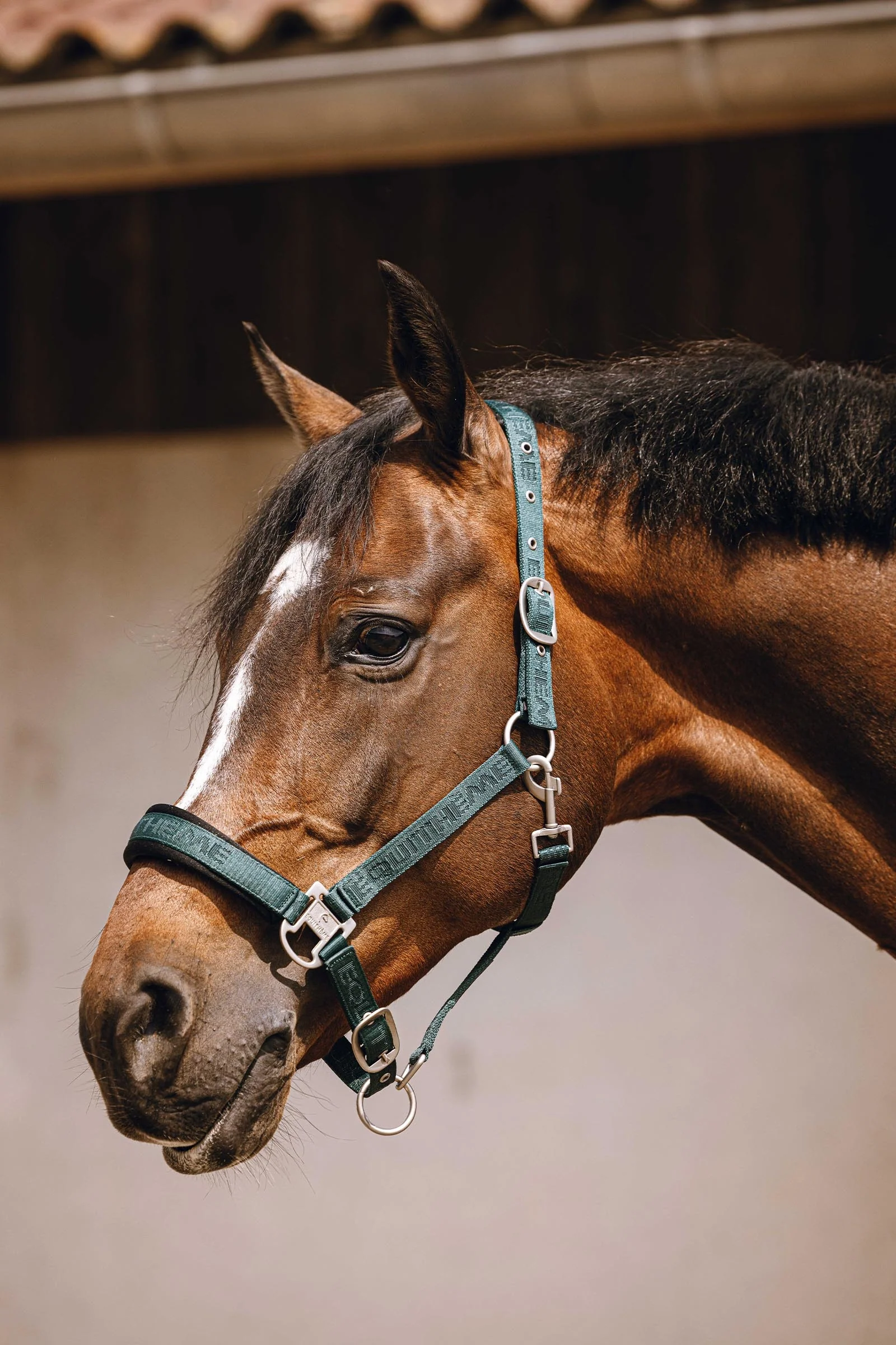 EQUITHÈME Jacquard Nylon Halter Green P