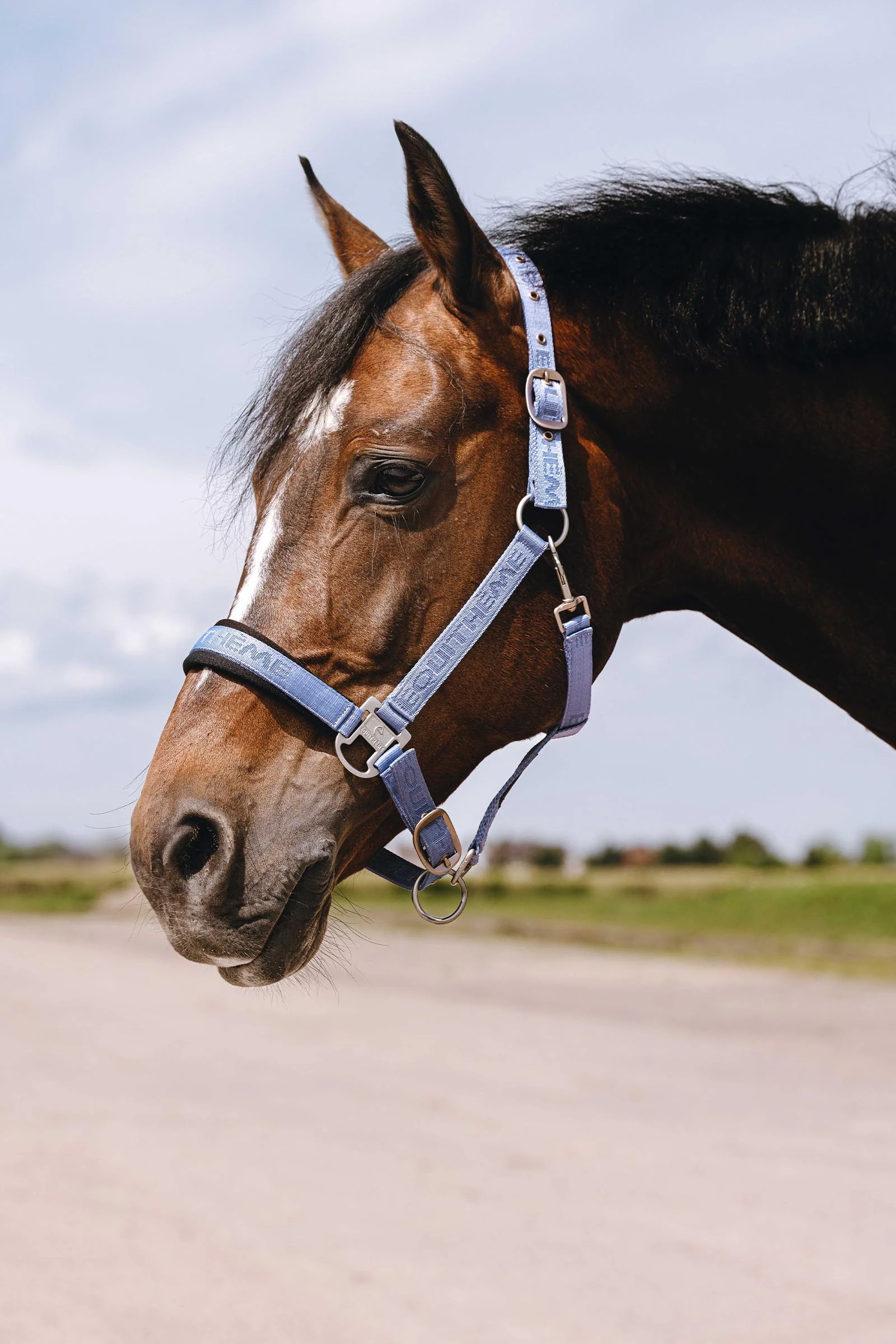 EQUITHÈME Jacquard Nylon Halter Sky Blue F