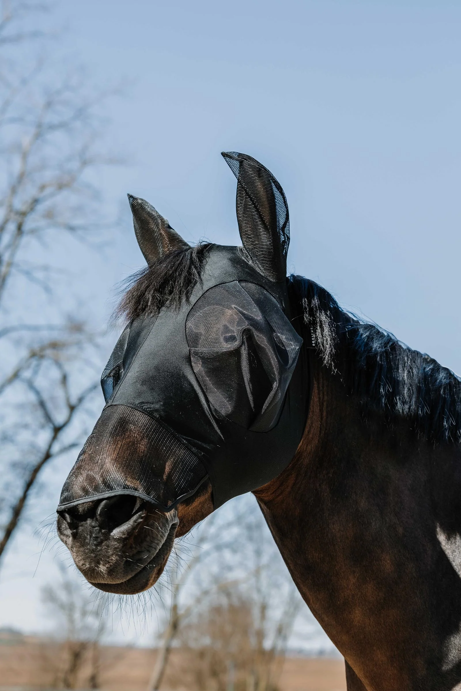 EQUITHÈME Lycra Fly Mask / UV Mask + Nose Black M