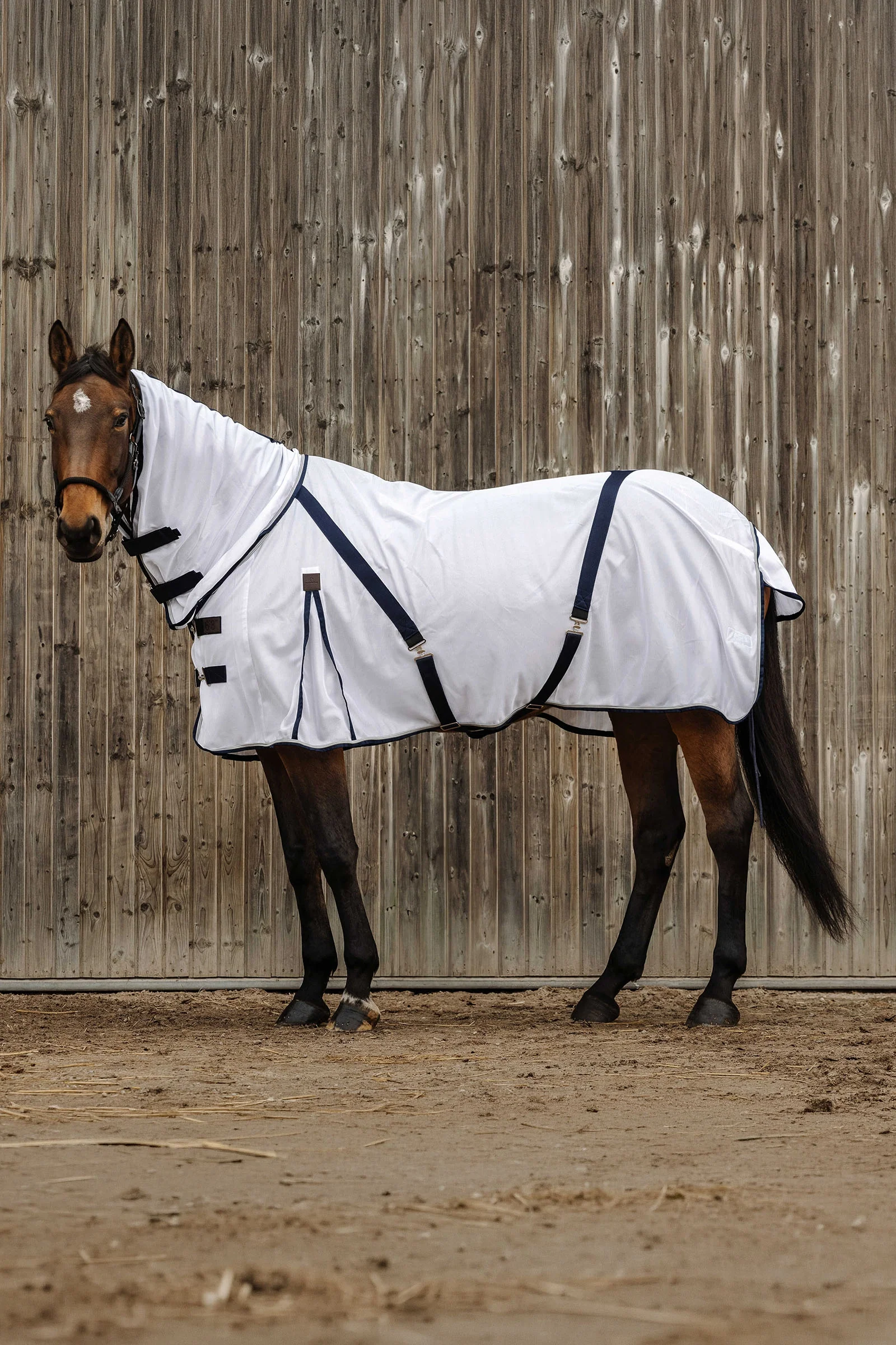 EQUITHÈME Mesh Combo Anti-Insect Sheet White 125