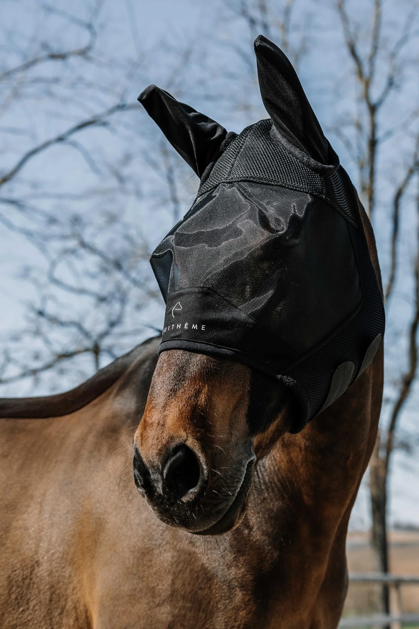 EQUITHÈME Mesh Fly Mask/ UV Mask Black S