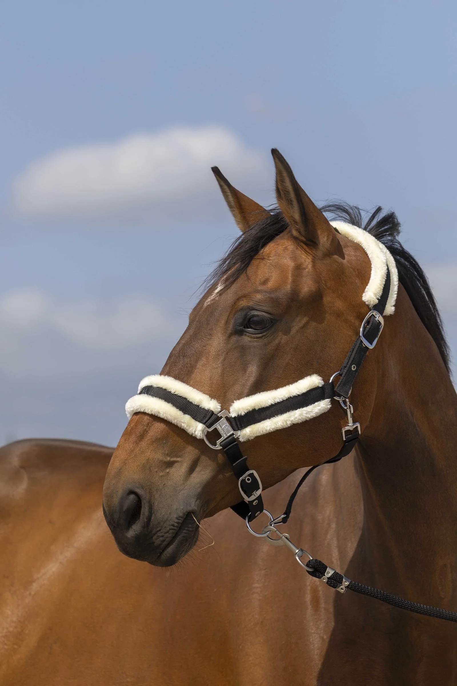 EQUITHÈME Nylon Mouton Halter Black/White F