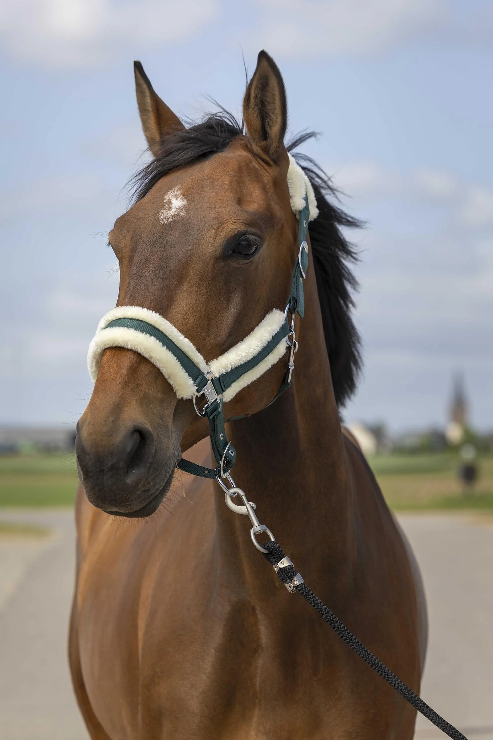 EQUITHÈME Nylon Mouton Halter Green/White F