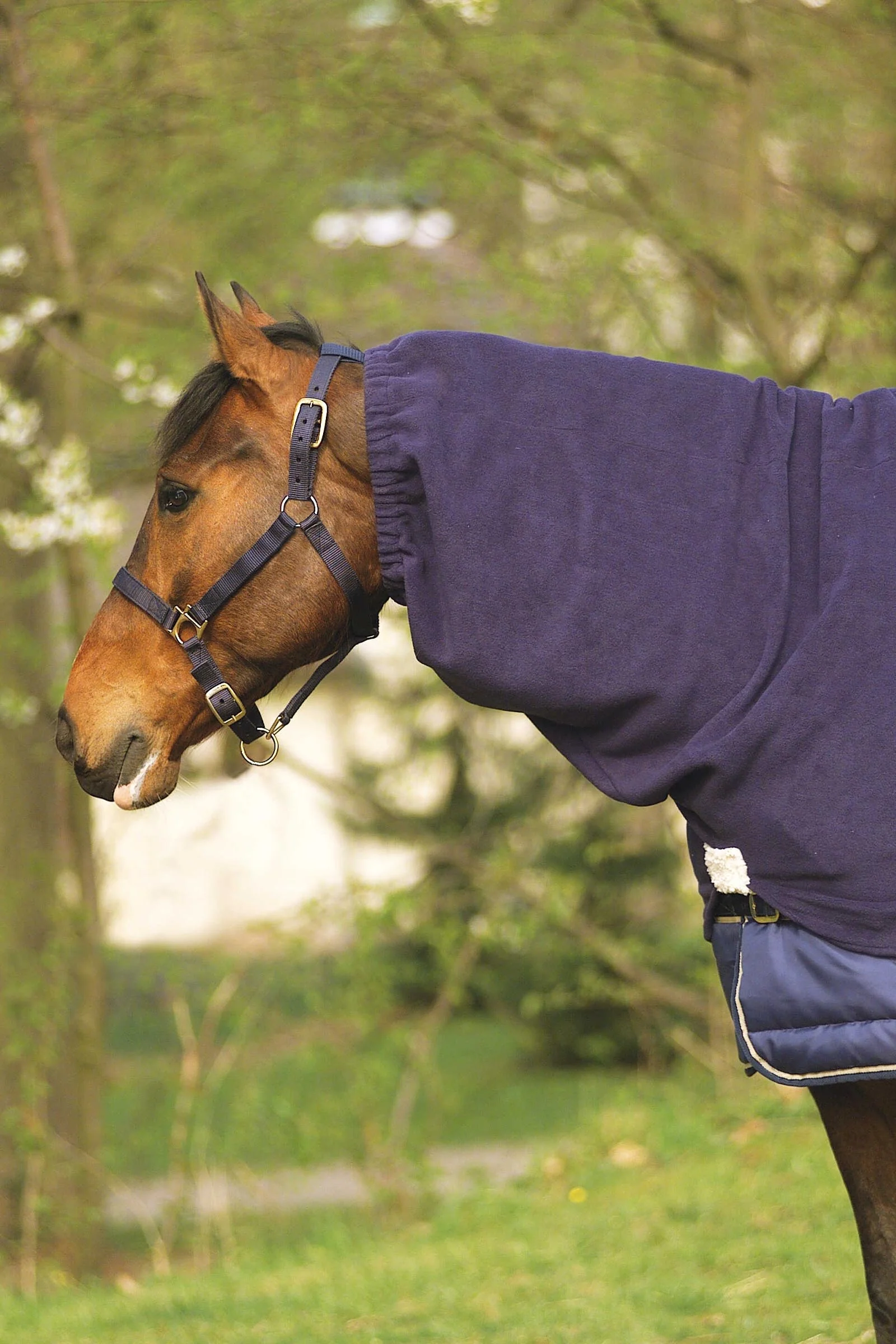 EQUITHÈME Polar Fleece Neck Cover Navy F