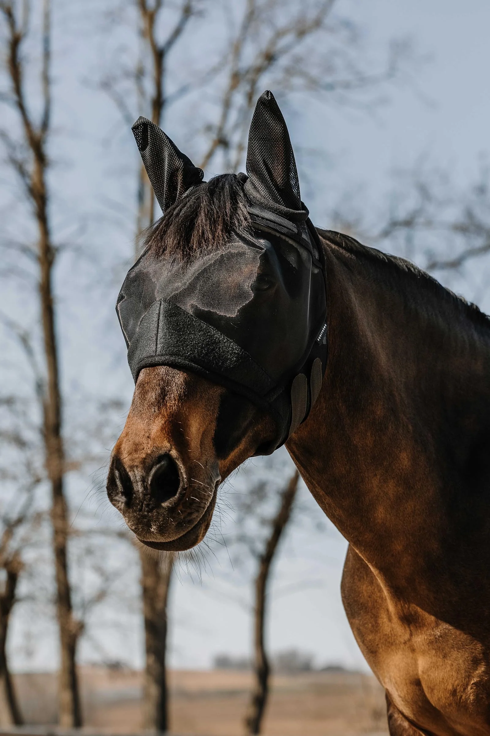 EQUITHÈME Supercut Fly Mask Black S