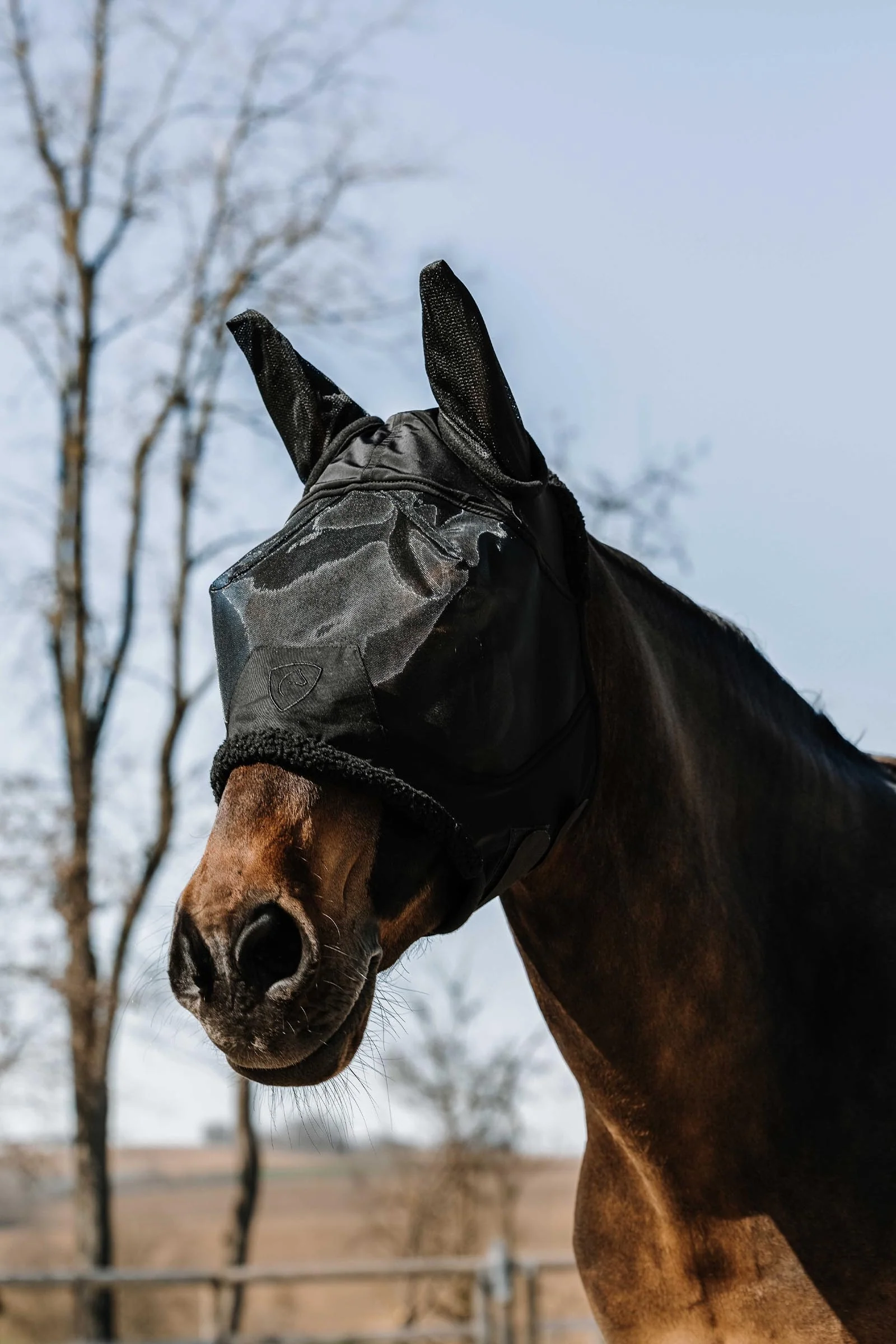 EQUITHÈME Teddy Fly Mask/ UV Mask Black S