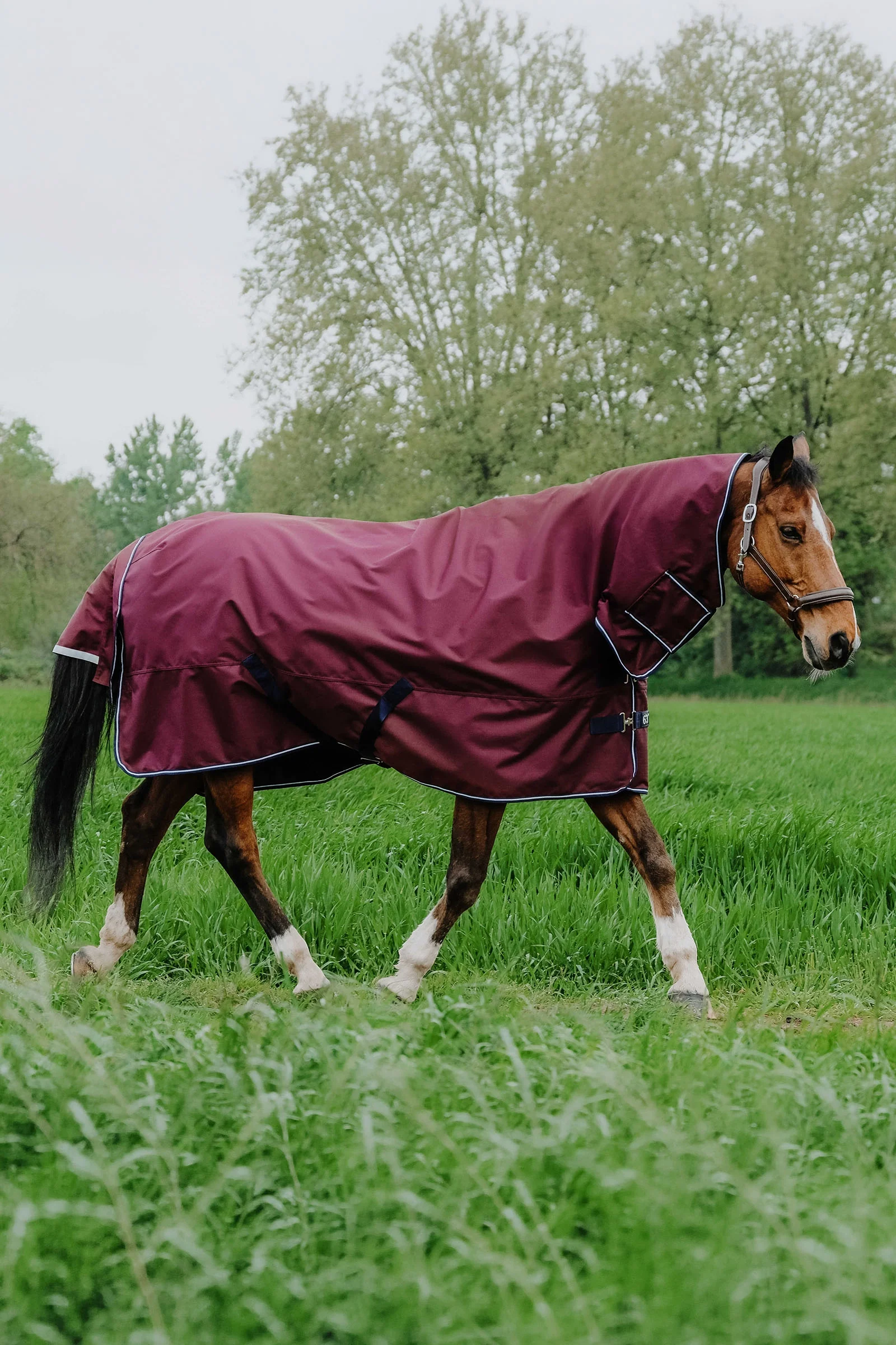 EQUITHÈME TYREX 1200D Combo Rug, 350 g Burgundy 145