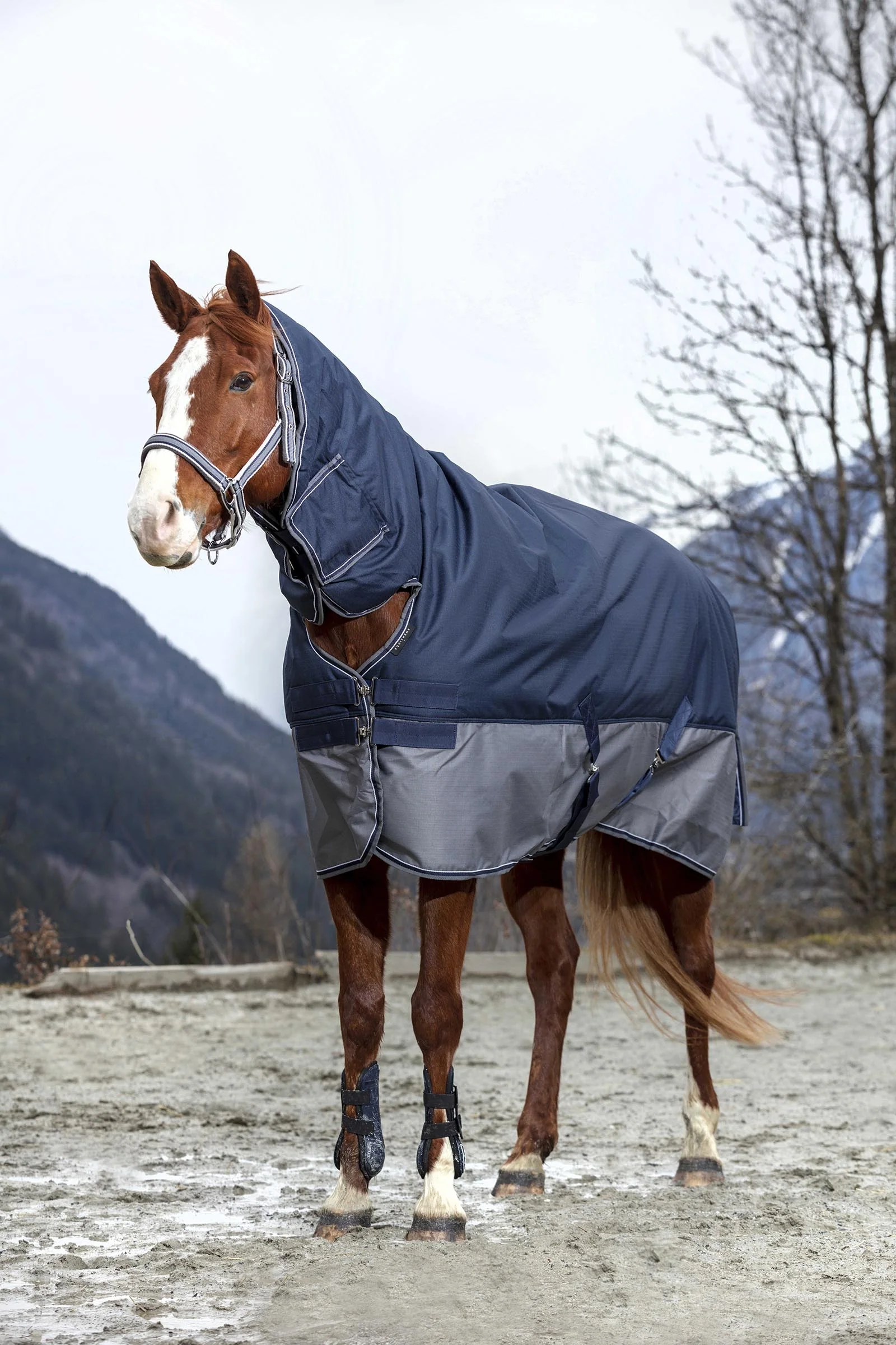 EQUITHÈME TYREX 600D Combo Rug, 200 g Marine/Grey 135