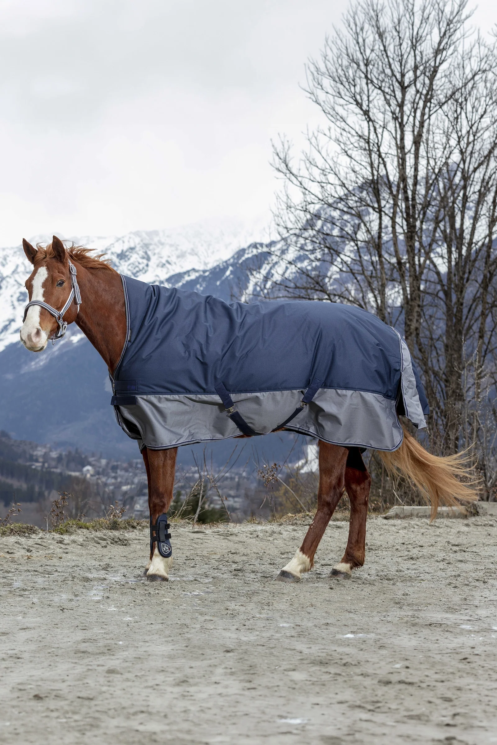 EQUITHÈME TYREX 600D High Neck Rug, 150 g Marine/Grey 145