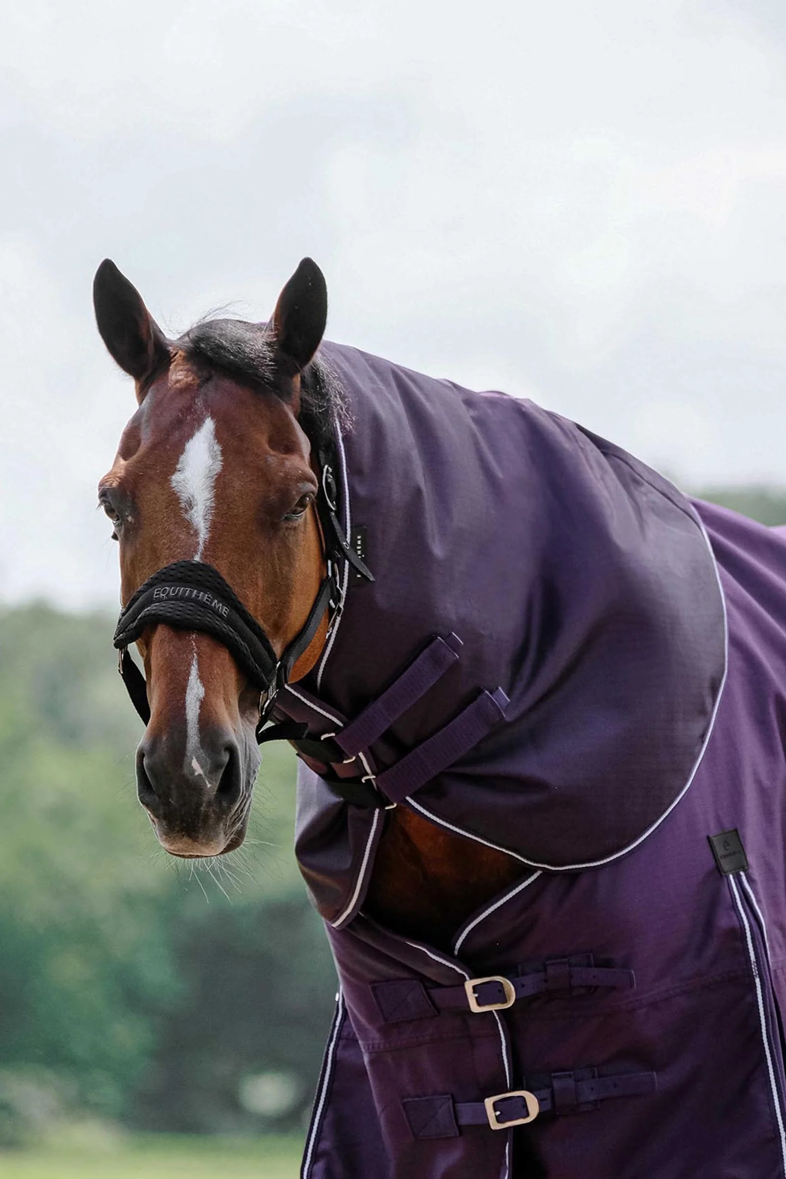 EQUITHÈME TYREX 600D Neck Cover Plume 0g Plum F