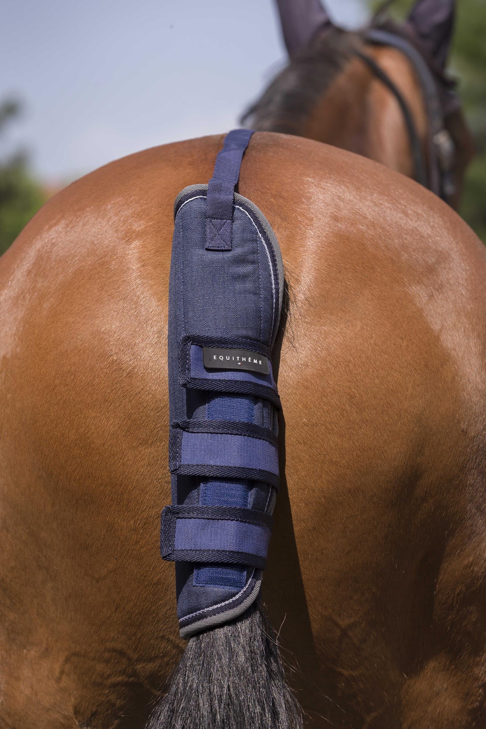 EQUITHÈME TYREX 600D Tail Guard Marine/Grey F