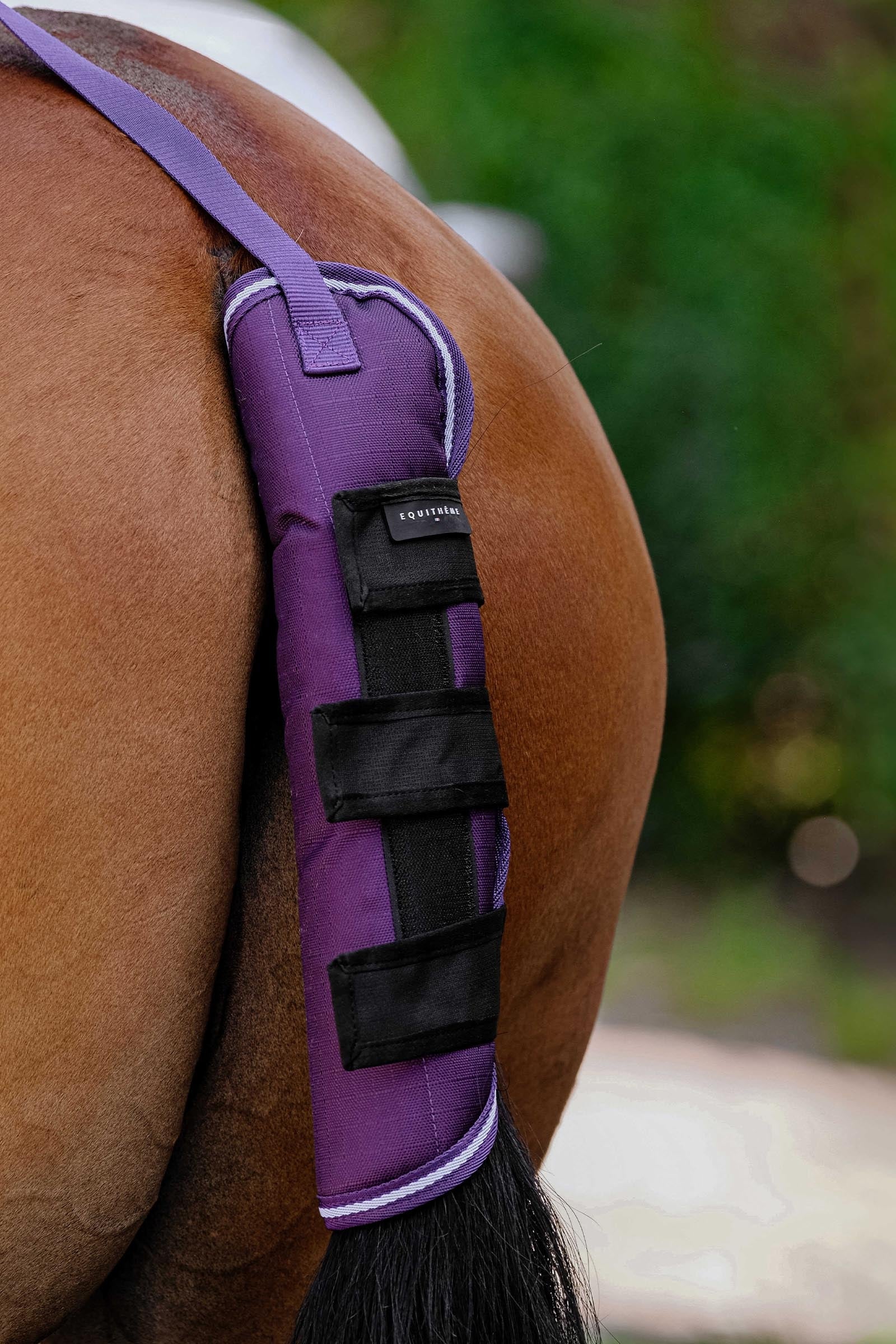 EQUITHÈME TYREX 600D Tail Guard Plume Plum F