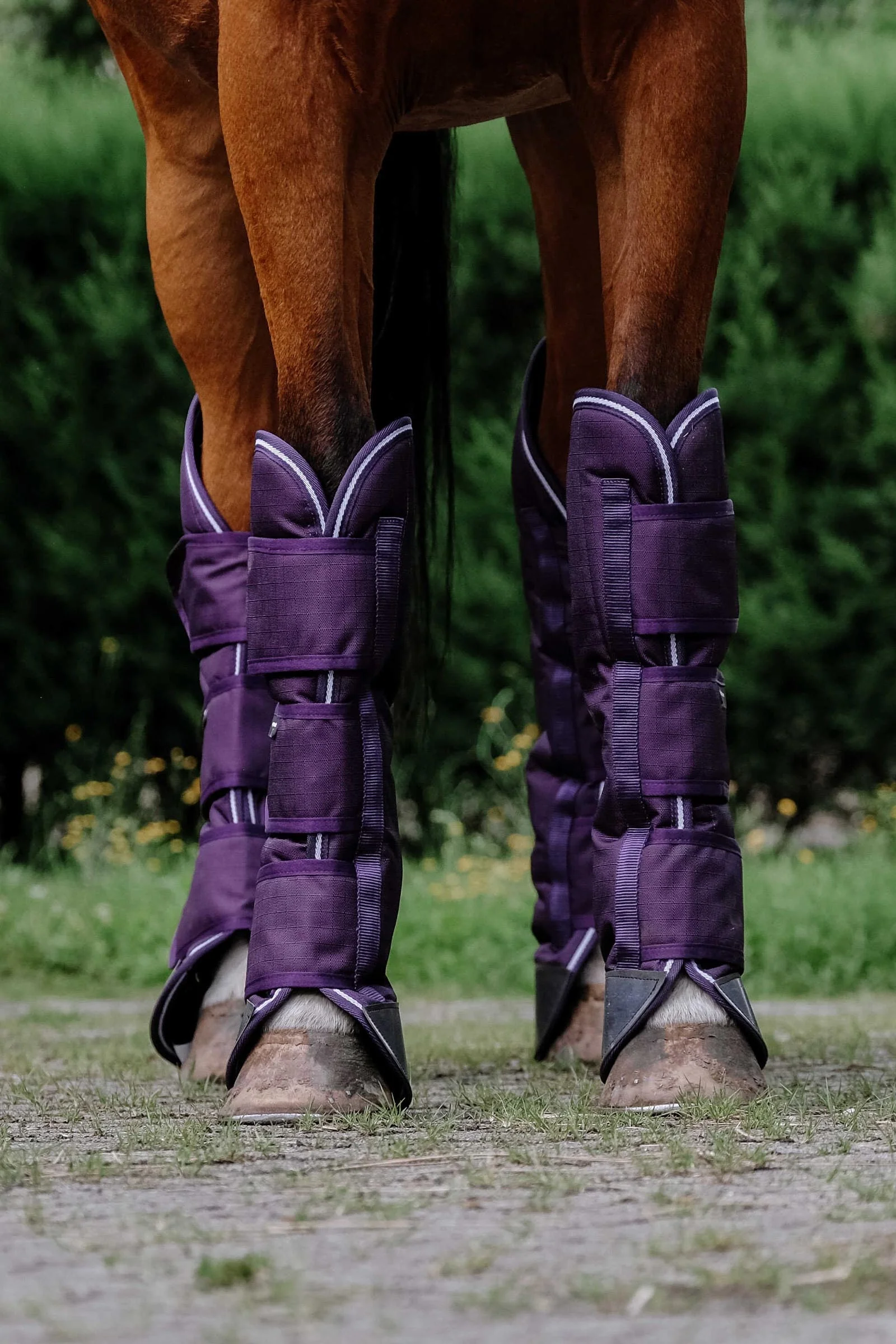 EQUITHÈME TYREX 600D Transport Boots Plum P