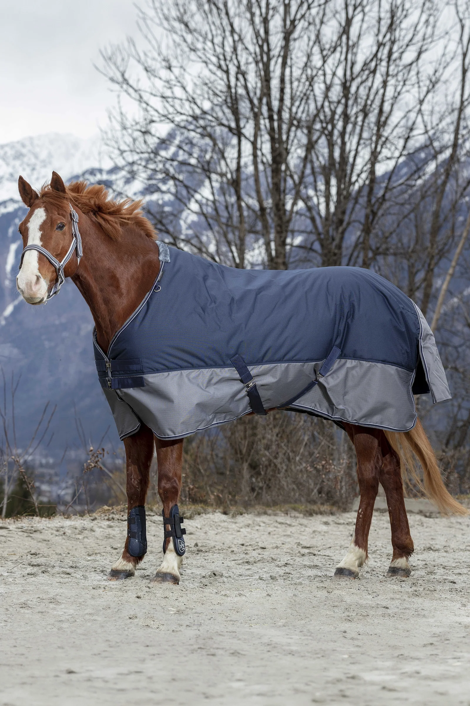 EQUITHÈME TYREX 600D Turnout Rug, 50 g Marine/Grey 155