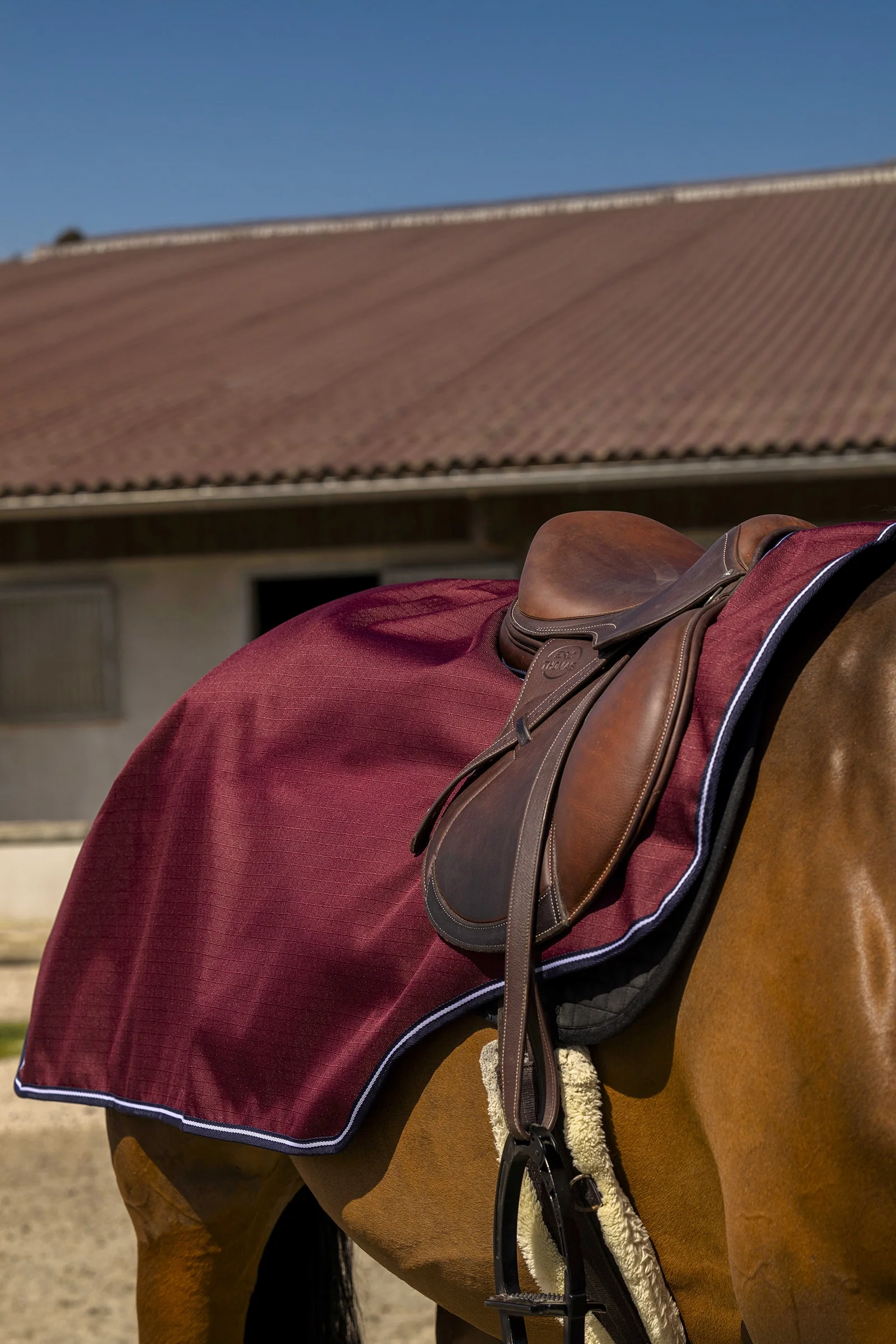 EQUITHÈME TYREX Aisance 1200D Exercice Rug Burgundy 140