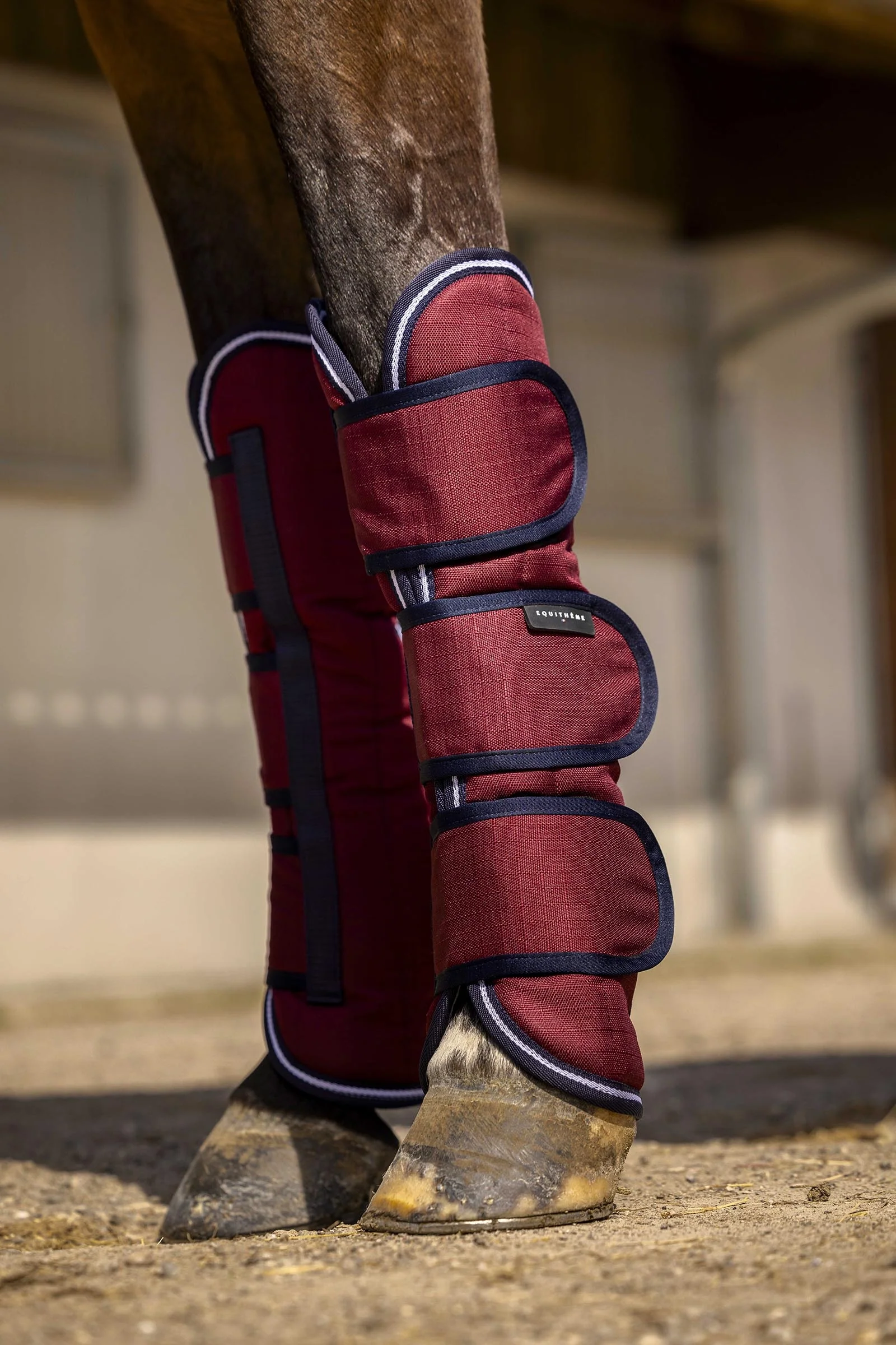 EQUITHÈME TYREX Aisance 1200D Transport Boots Burgundy P