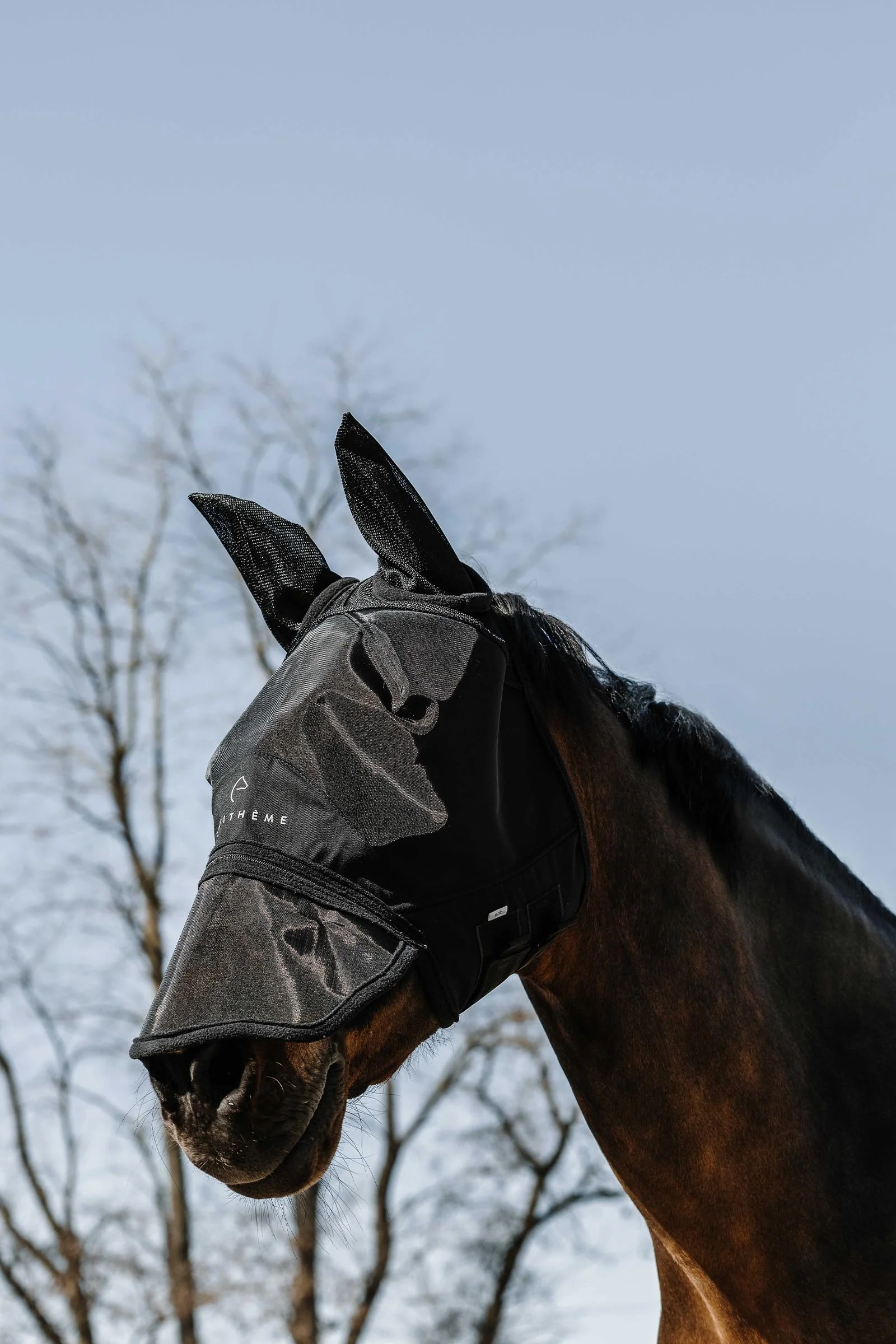 EQUITHÈME Zipper Fly Mask/ UV Mask Black M