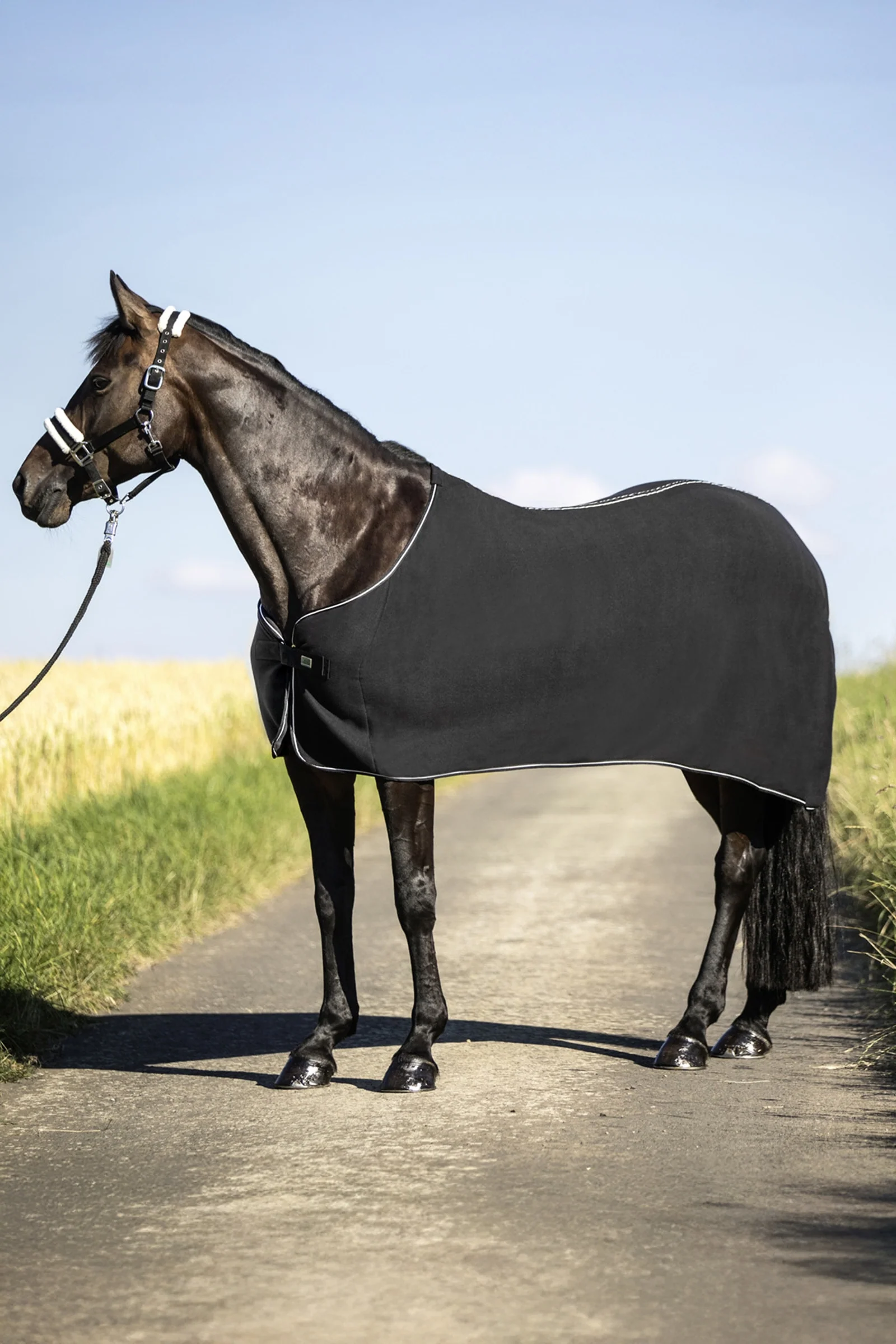 Fleece Rug Black 75
