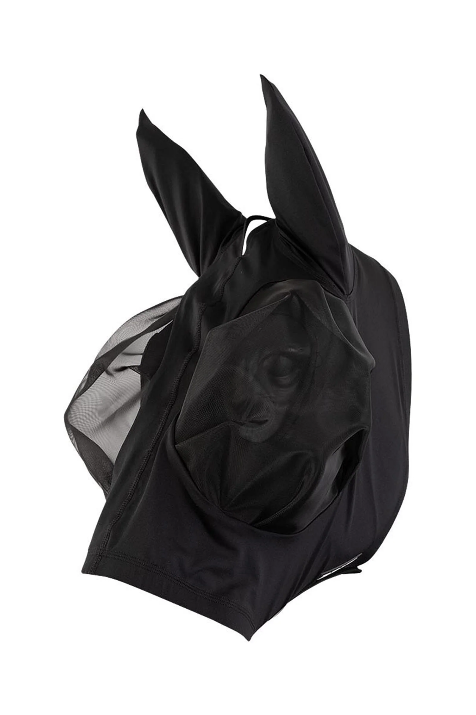Fly Mask Meteorite C