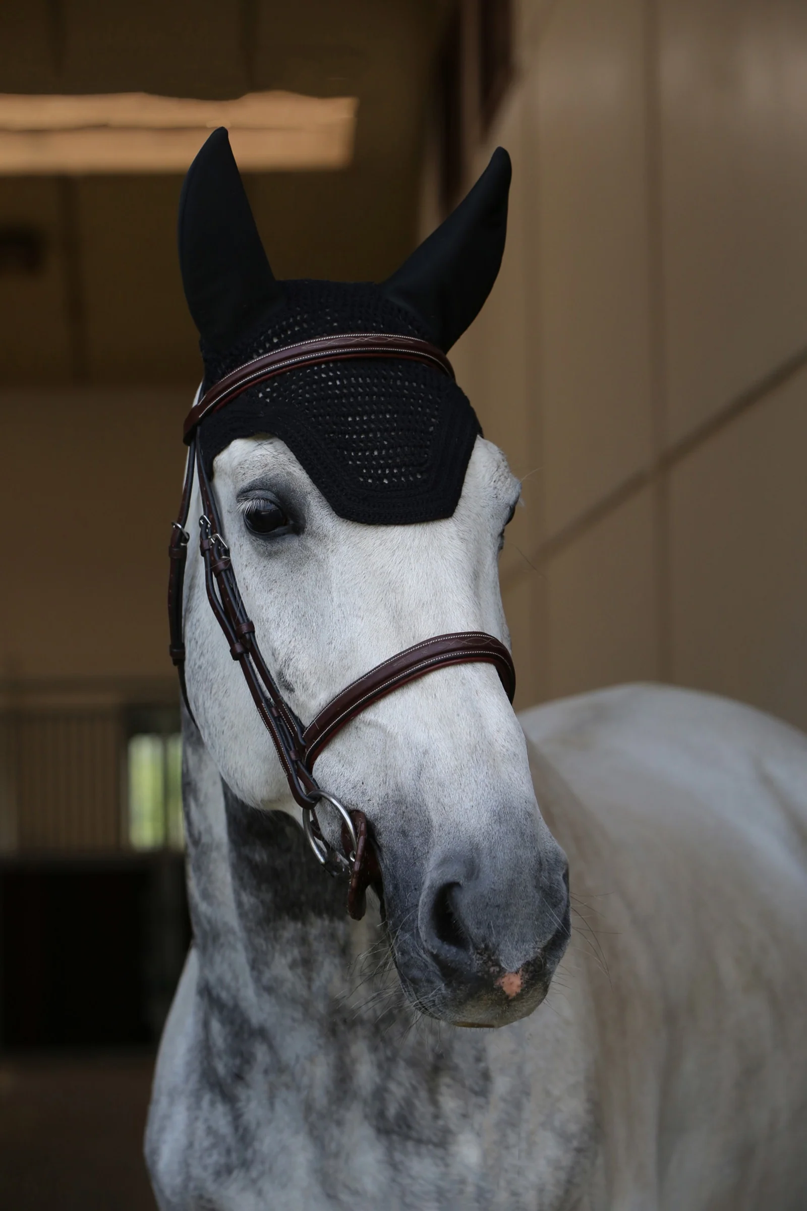 Fly Veil Wellington Soundless Black C