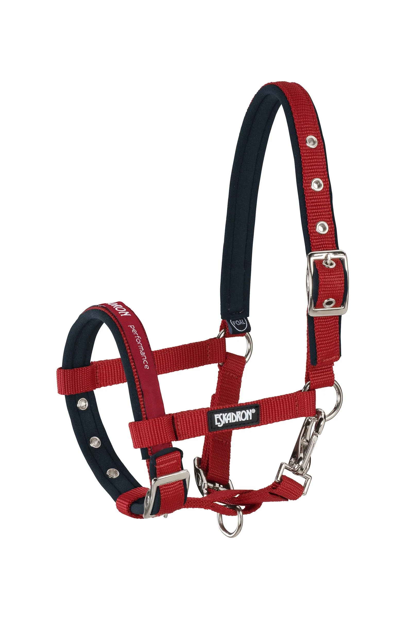 Foal Halter Chilired One Size