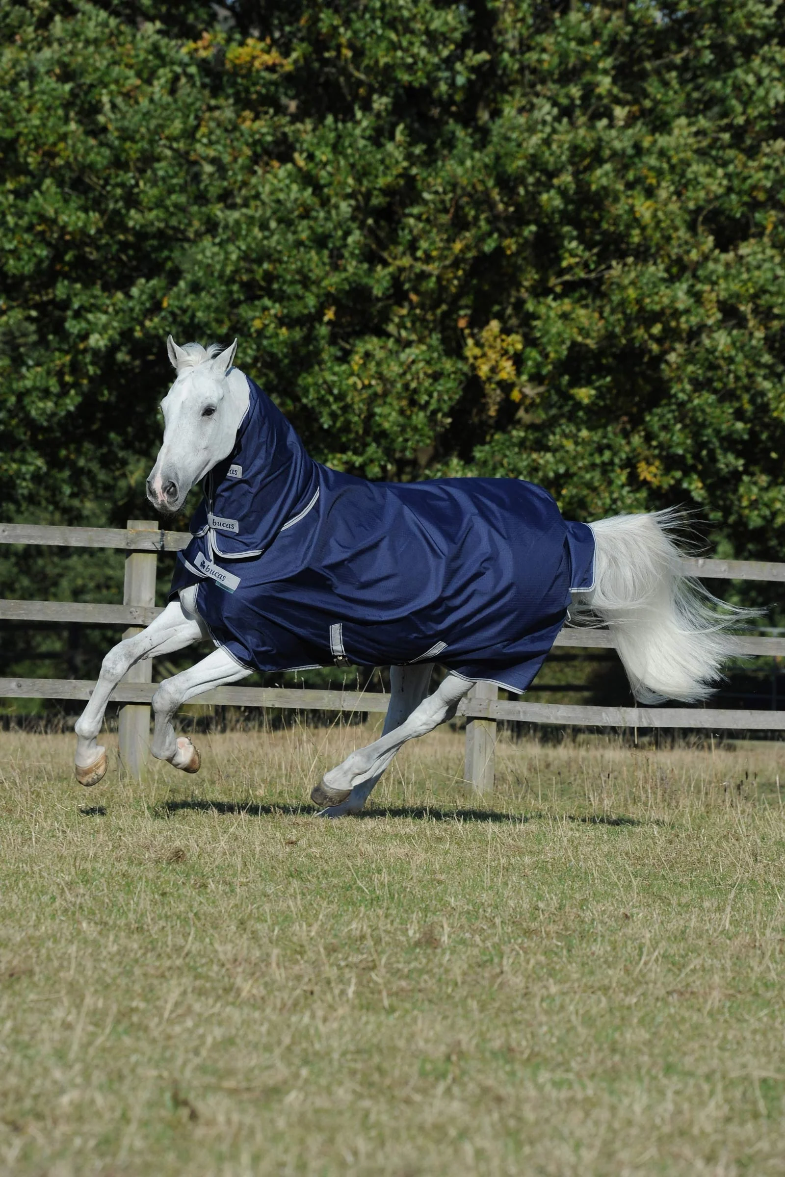 Freedom Light Turnout Rug with fixed Full Neck, 0g Dark Blue 120