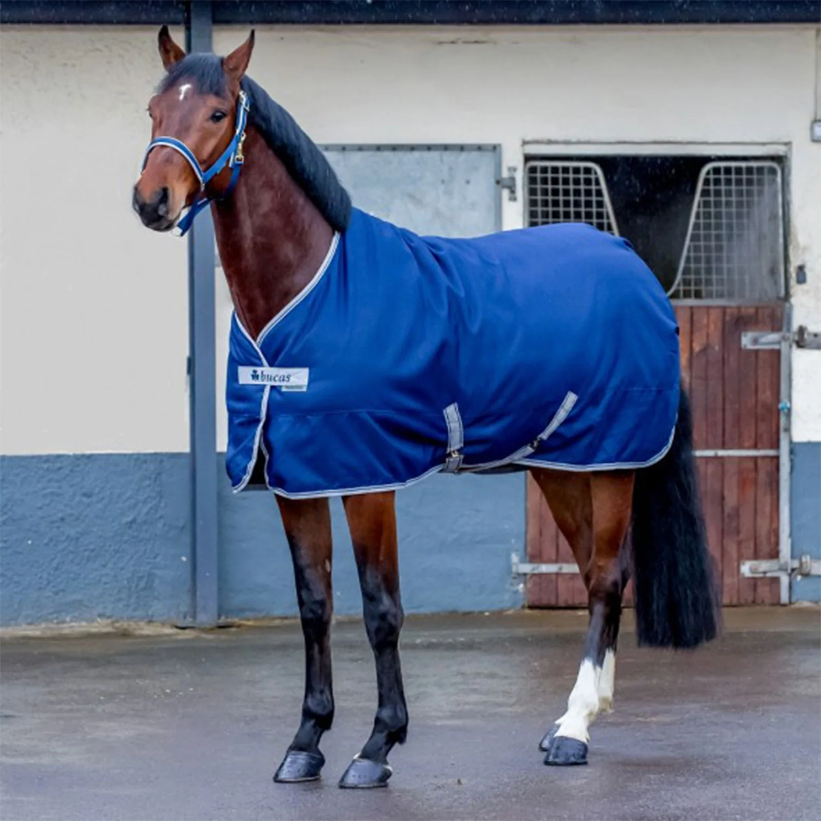 Freedom Stable 150 Dark Blue 155