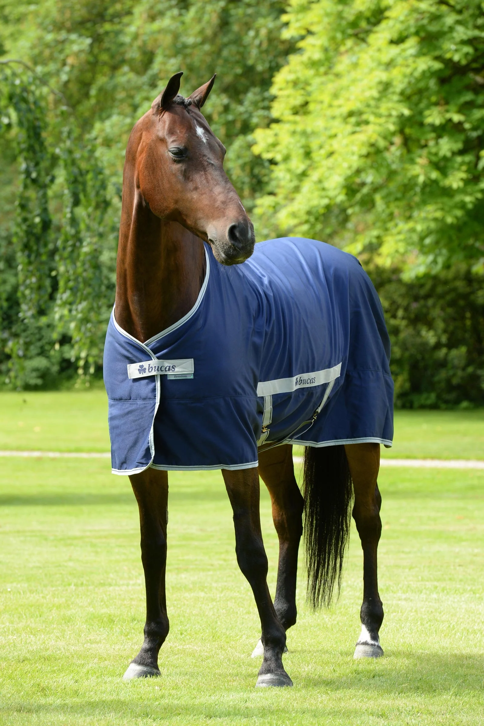Freedom Twill Stable Rug, 0 g Dark Blue 115