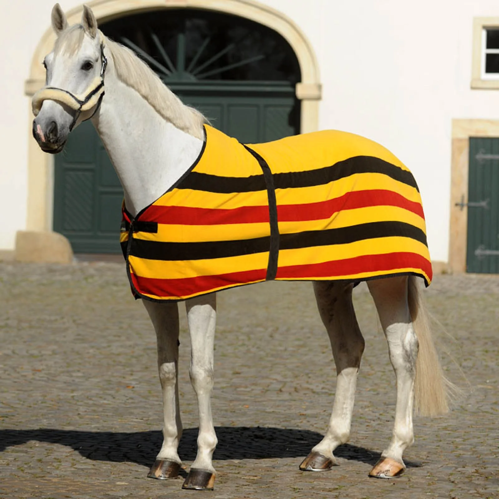 Germany Fleece Rug BL/RE/GO 115