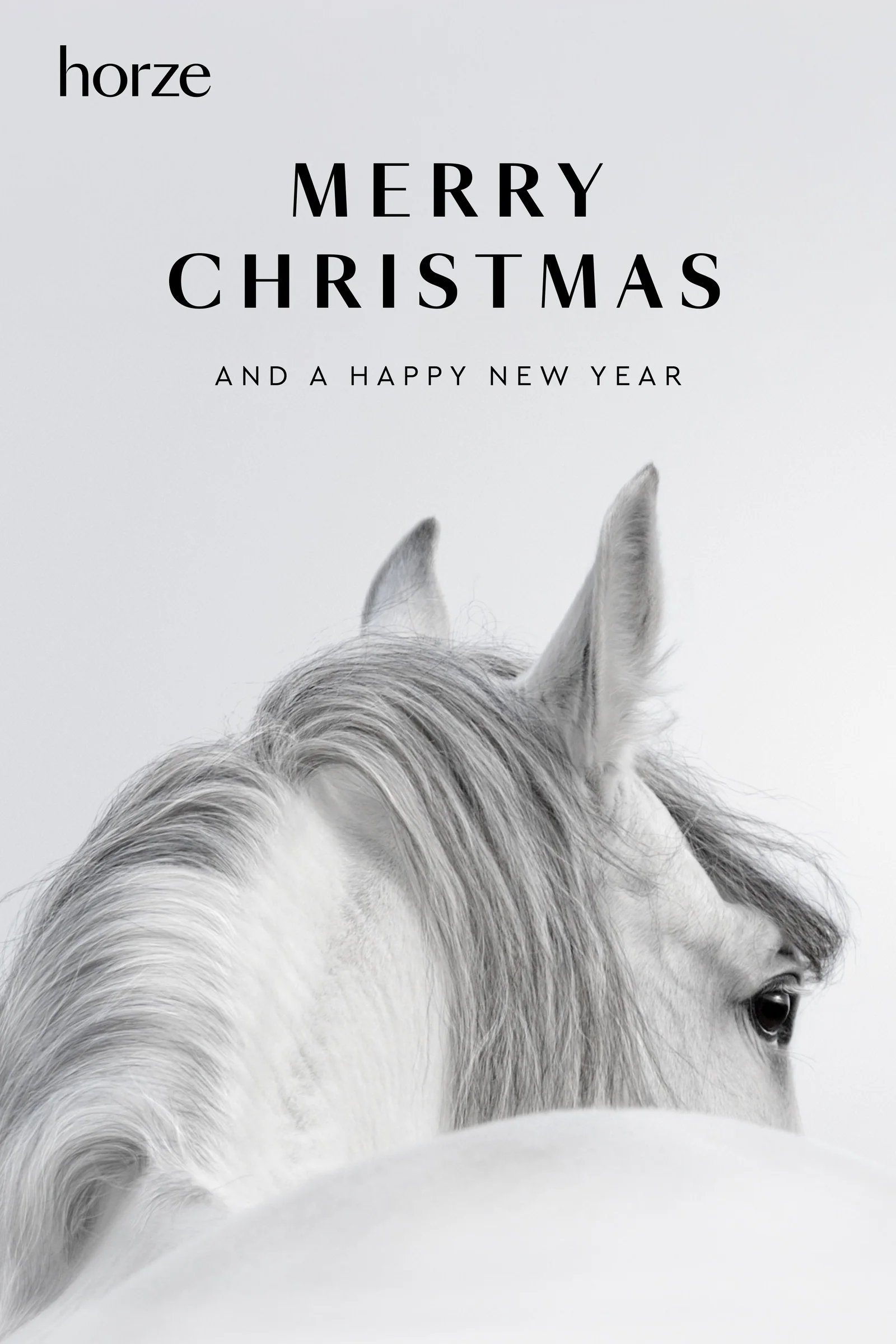 Gift card Merry Christmas & Happy New Year 35 £