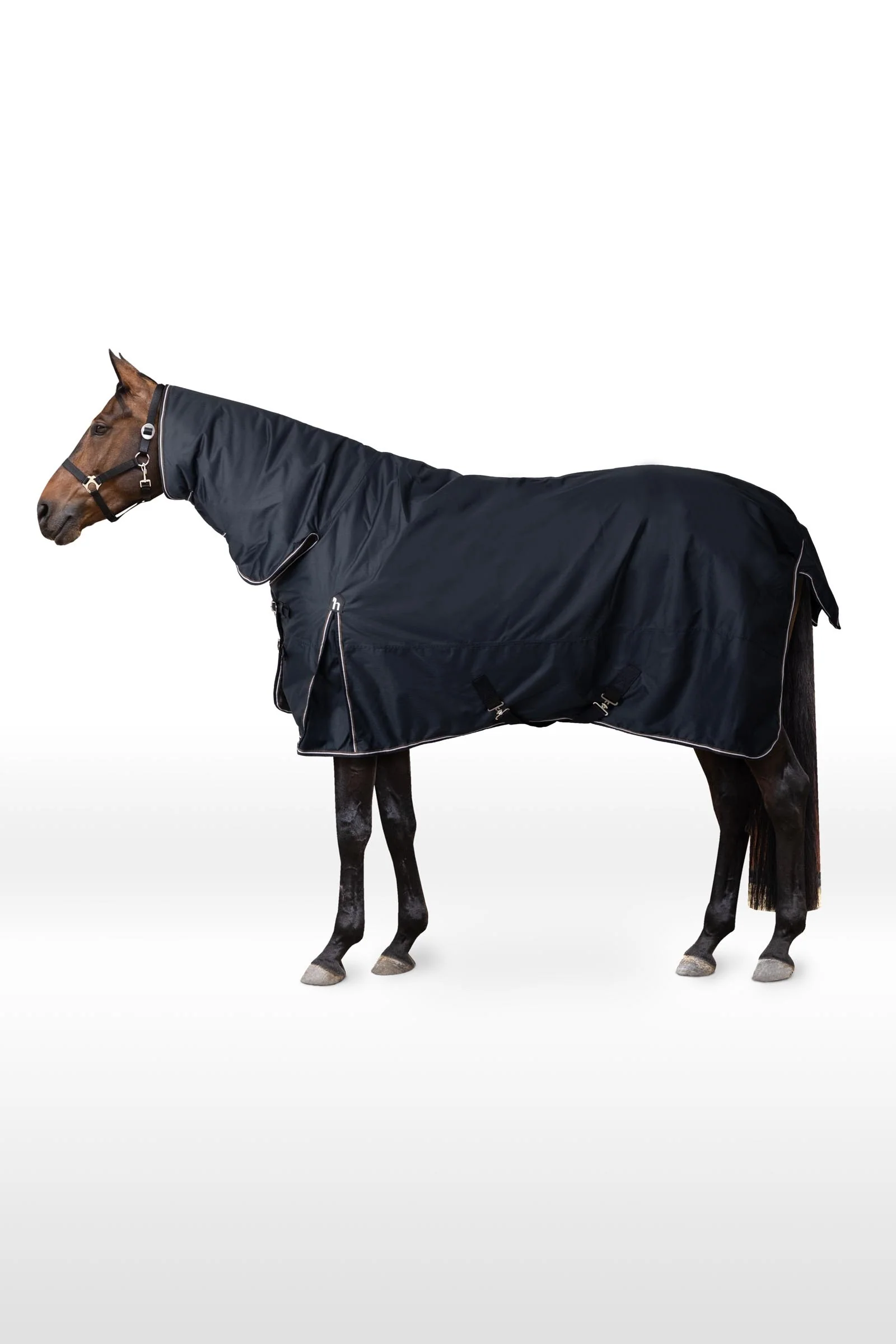 Glasgow Full Neck Turnout Rug, 200 g Blueberry 125