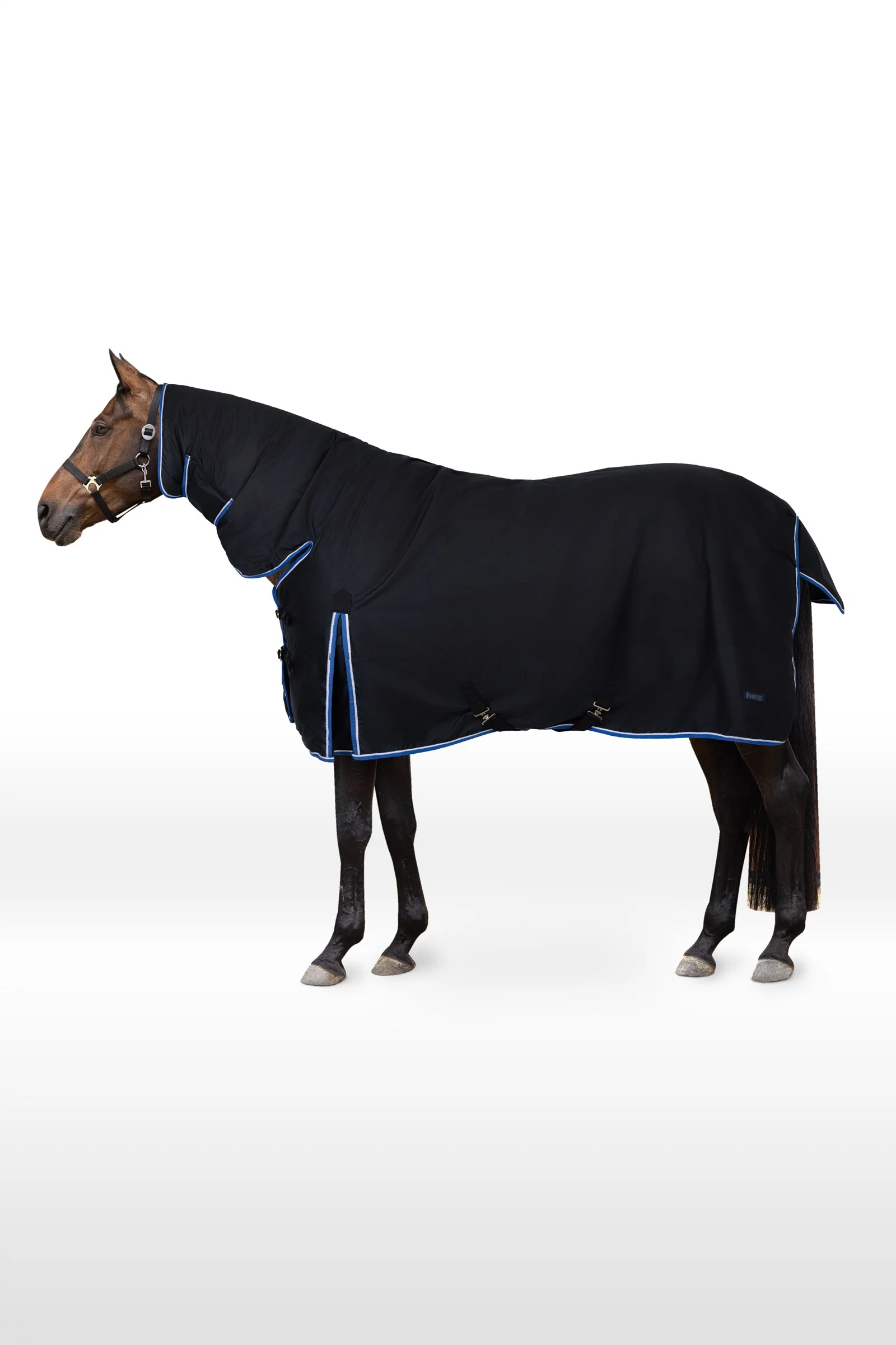 Glasgow Full Neck Turnout Rug, 400g Dark Blue 125