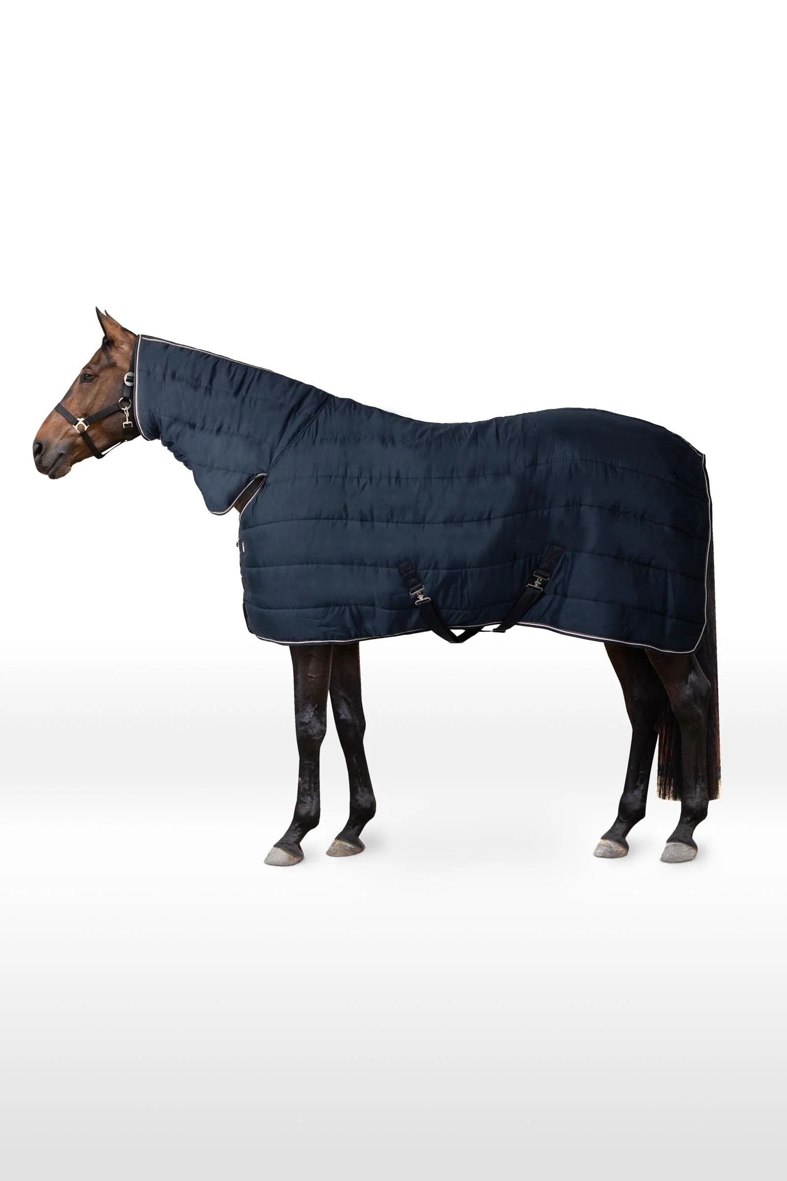 Glasgow Stable Rug / Under Rug Full Neck, 150g Blueberry 125